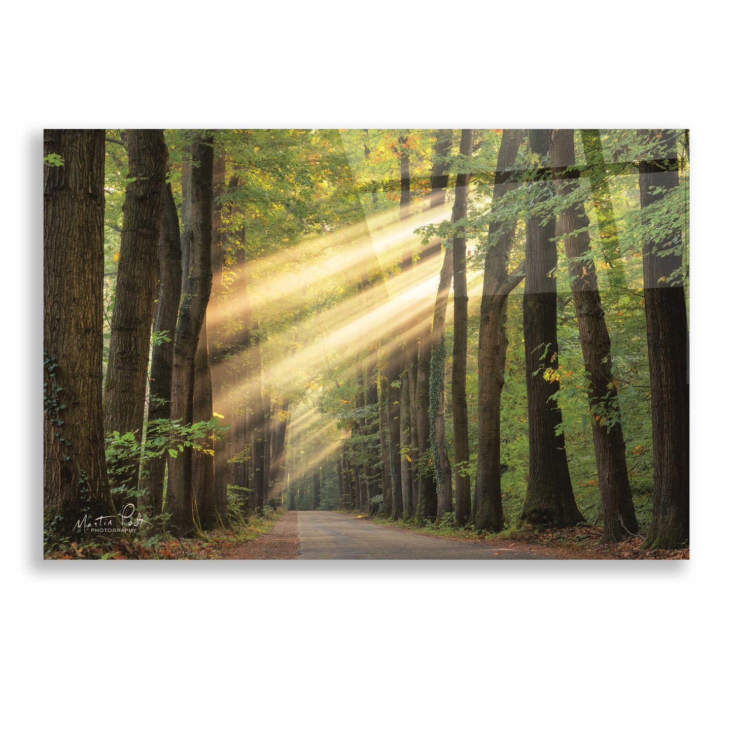 Epic Art 'Rayzor Light' by Martin Podt, Acrylic Glass Wall Art,24x16