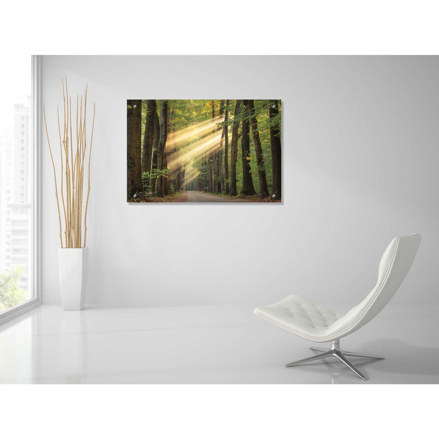 Epic Art 'Rayzor Light' by Martin Podt, Acrylic Glass Wall Art,36x24