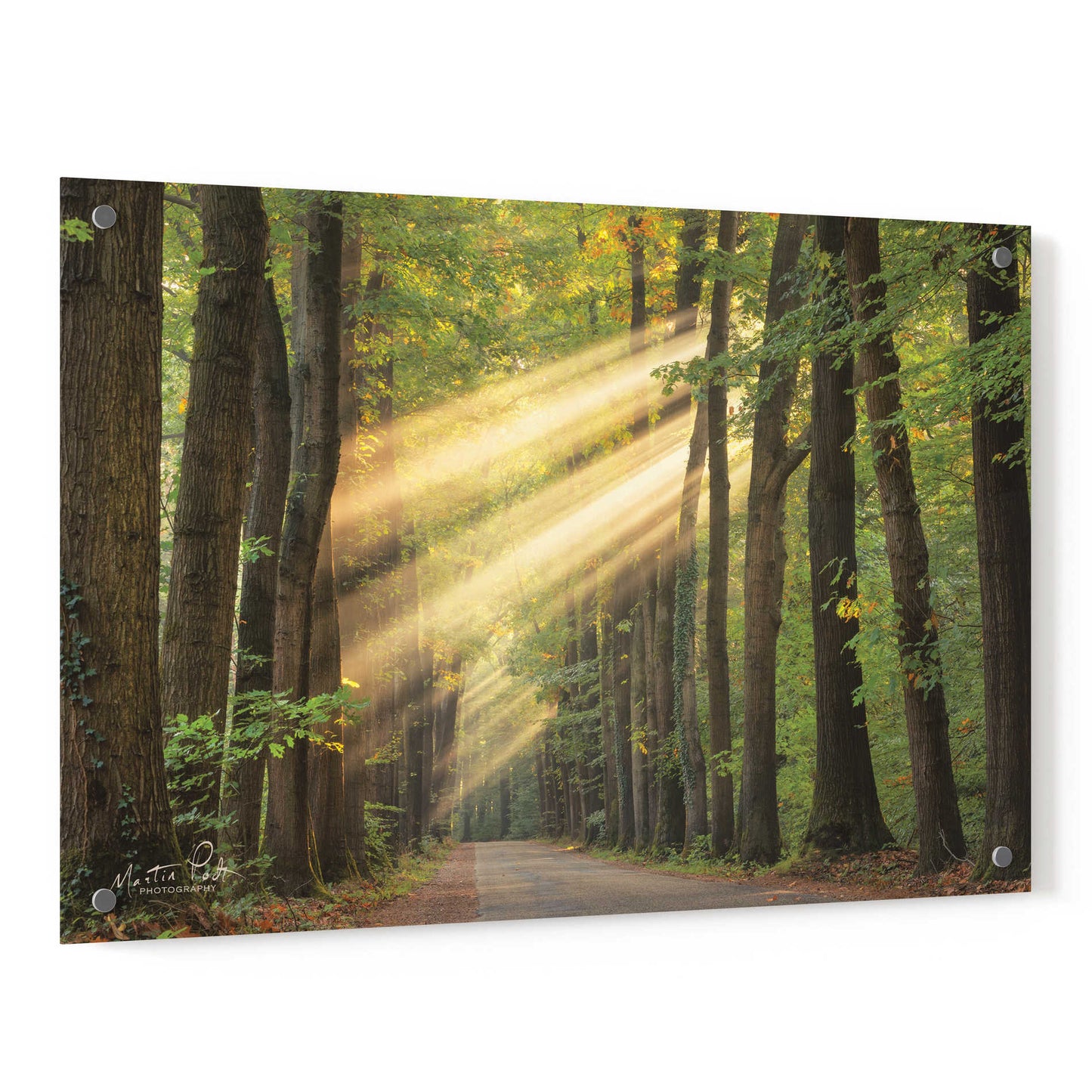 Epic Art 'Rayzor Light' by Martin Podt, Acrylic Glass Wall Art,36x24