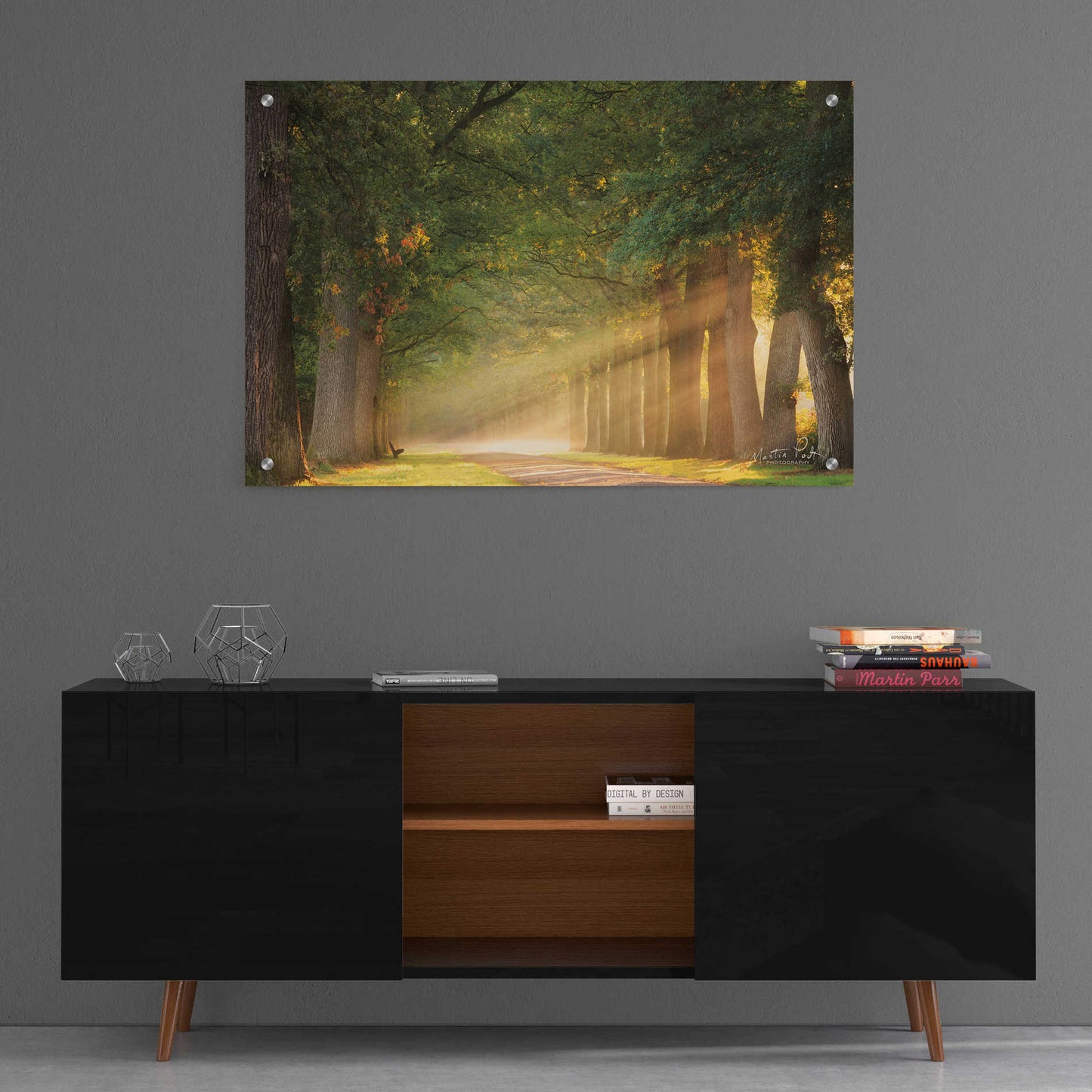 Epic Art 'Perfect Place to Sit' by Martin Podt, Acrylic Glass Wall Art,36x24