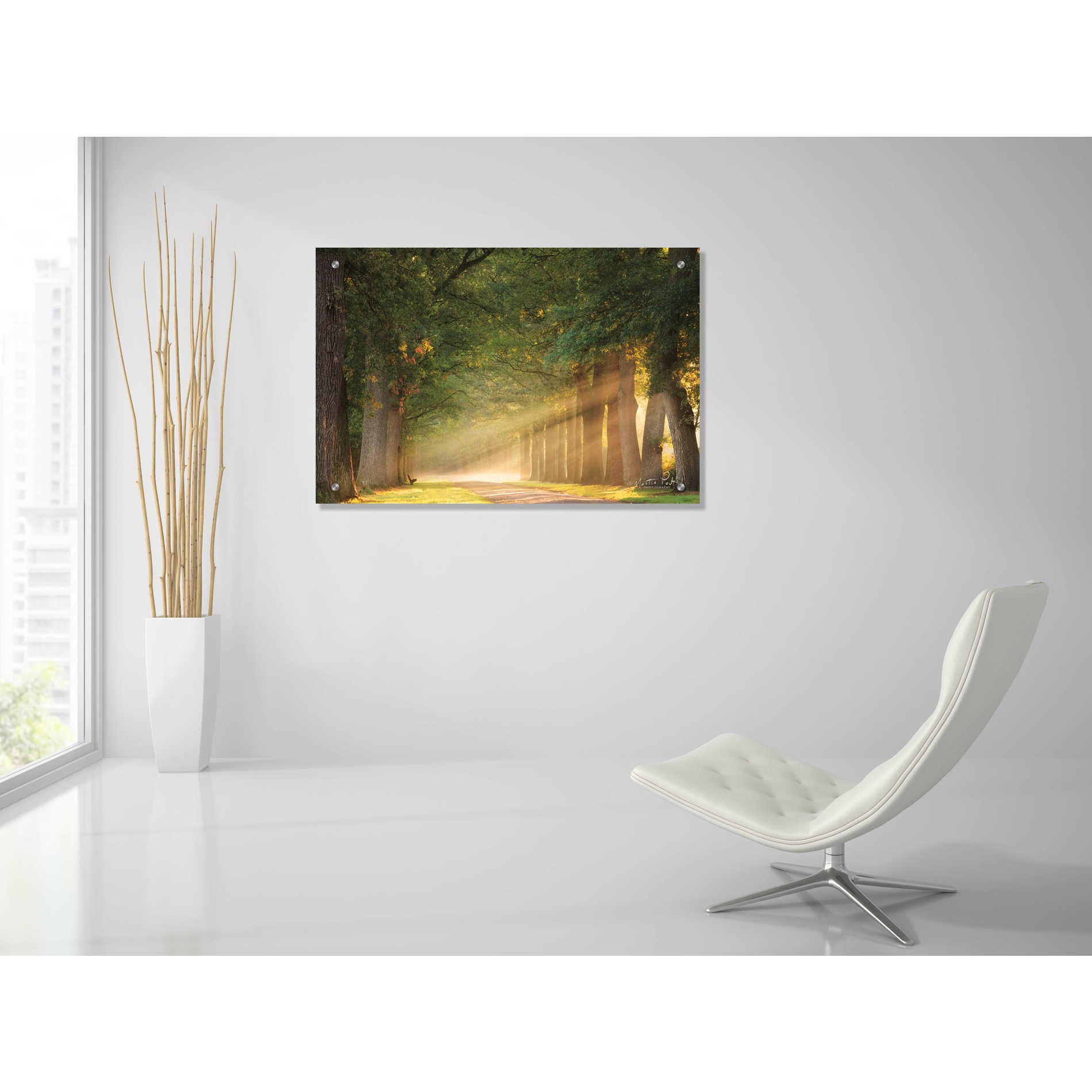 Epic Art 'Perfect Place to Sit' by Martin Podt, Acrylic Glass Wall Art,36x24