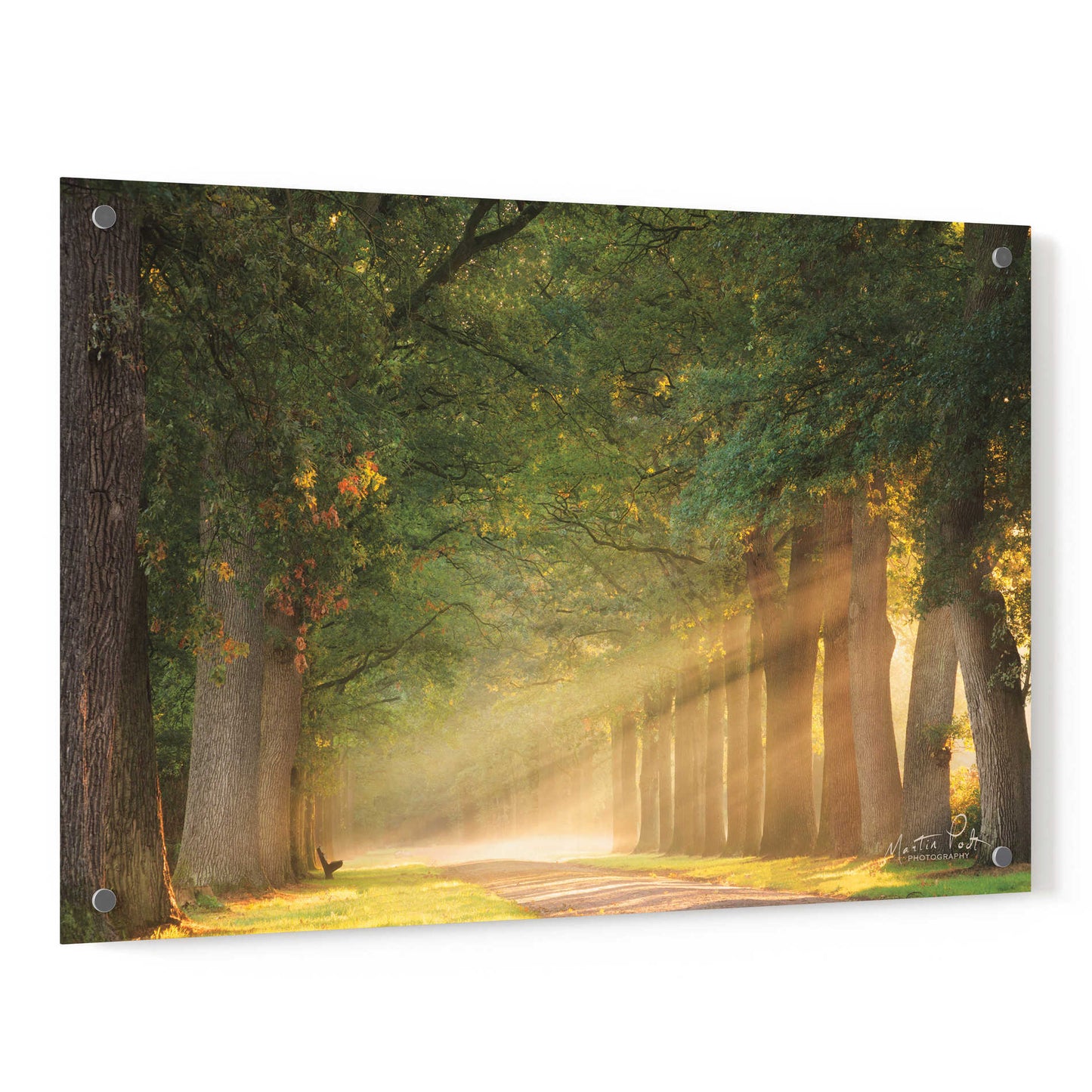 Epic Art 'Perfect Place to Sit' by Martin Podt, Acrylic Glass Wall Art,36x24