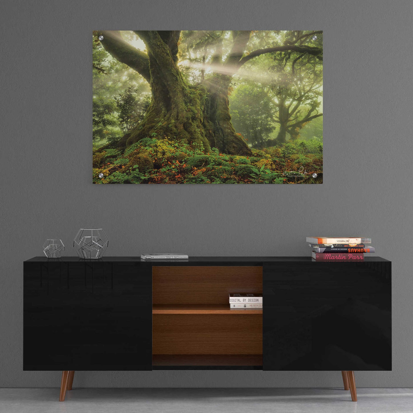 Epic Art 'One-Two Tree' by Martin Podt, Acrylic Glass Wall Art,36x24