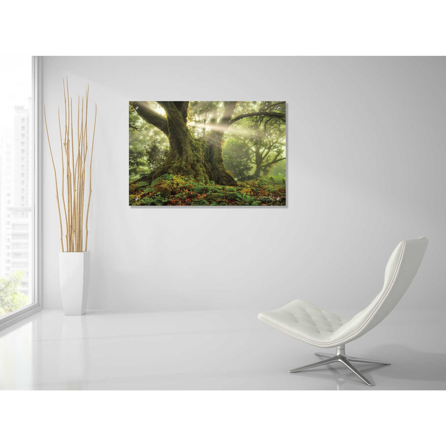 Epic Art 'One-Two Tree' by Martin Podt, Acrylic Glass Wall Art,36x24