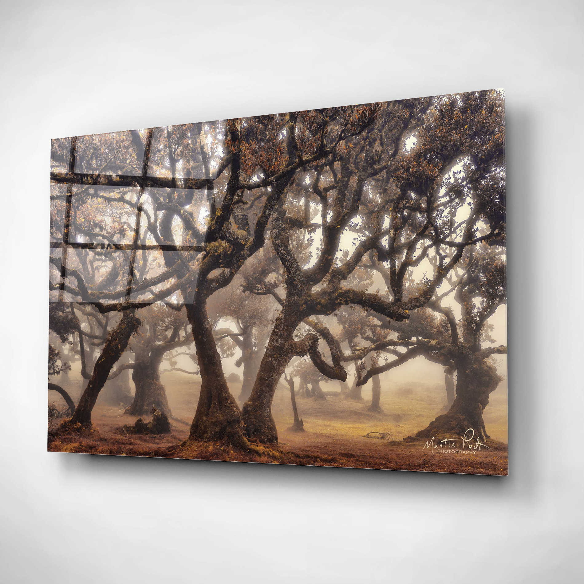 Epic Art 'The Hidden Truth' by Martin Podt, Acrylic Glass Wall Art,16x12