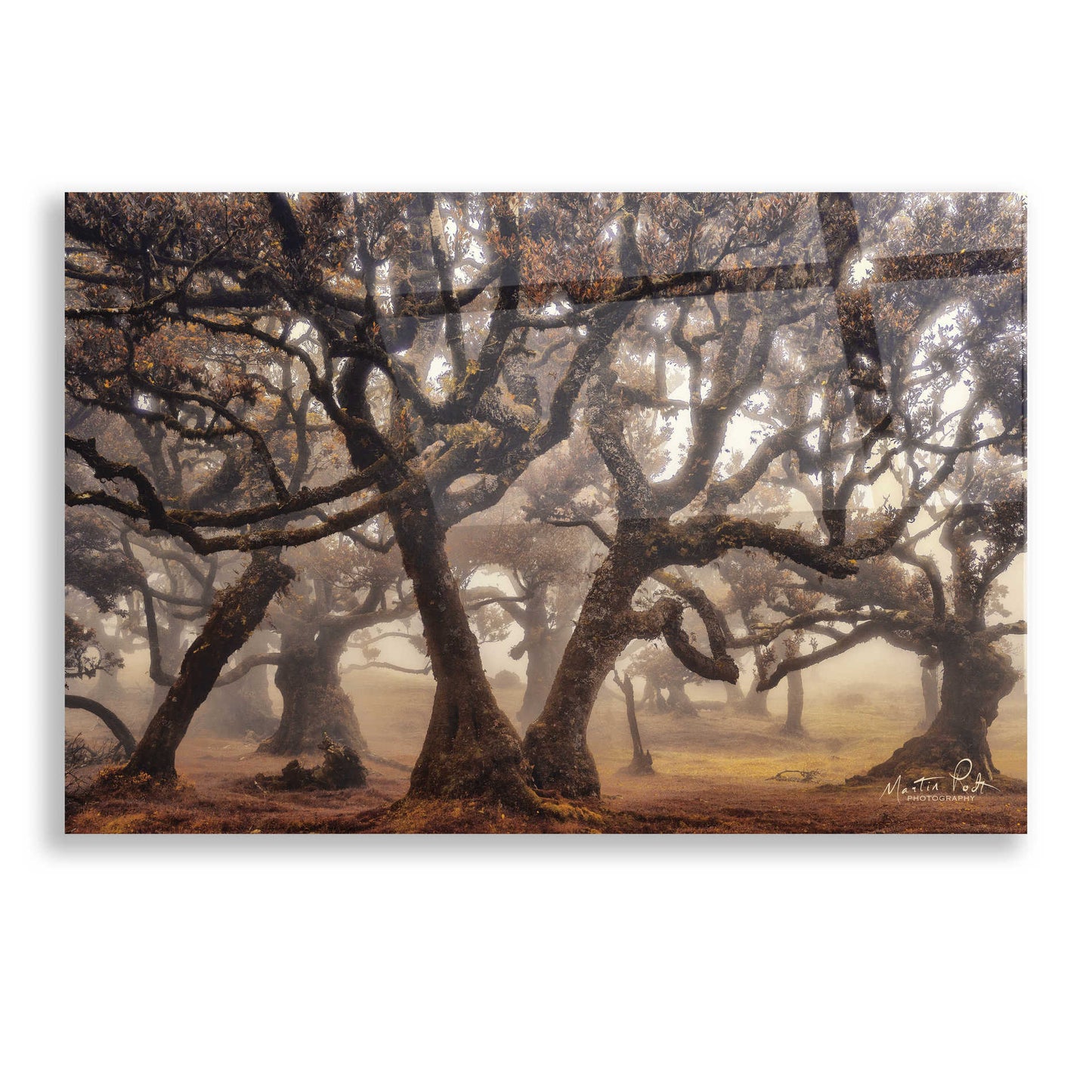 Epic Art 'The Hidden Truth' by Martin Podt, Acrylic Glass Wall Art,16x12