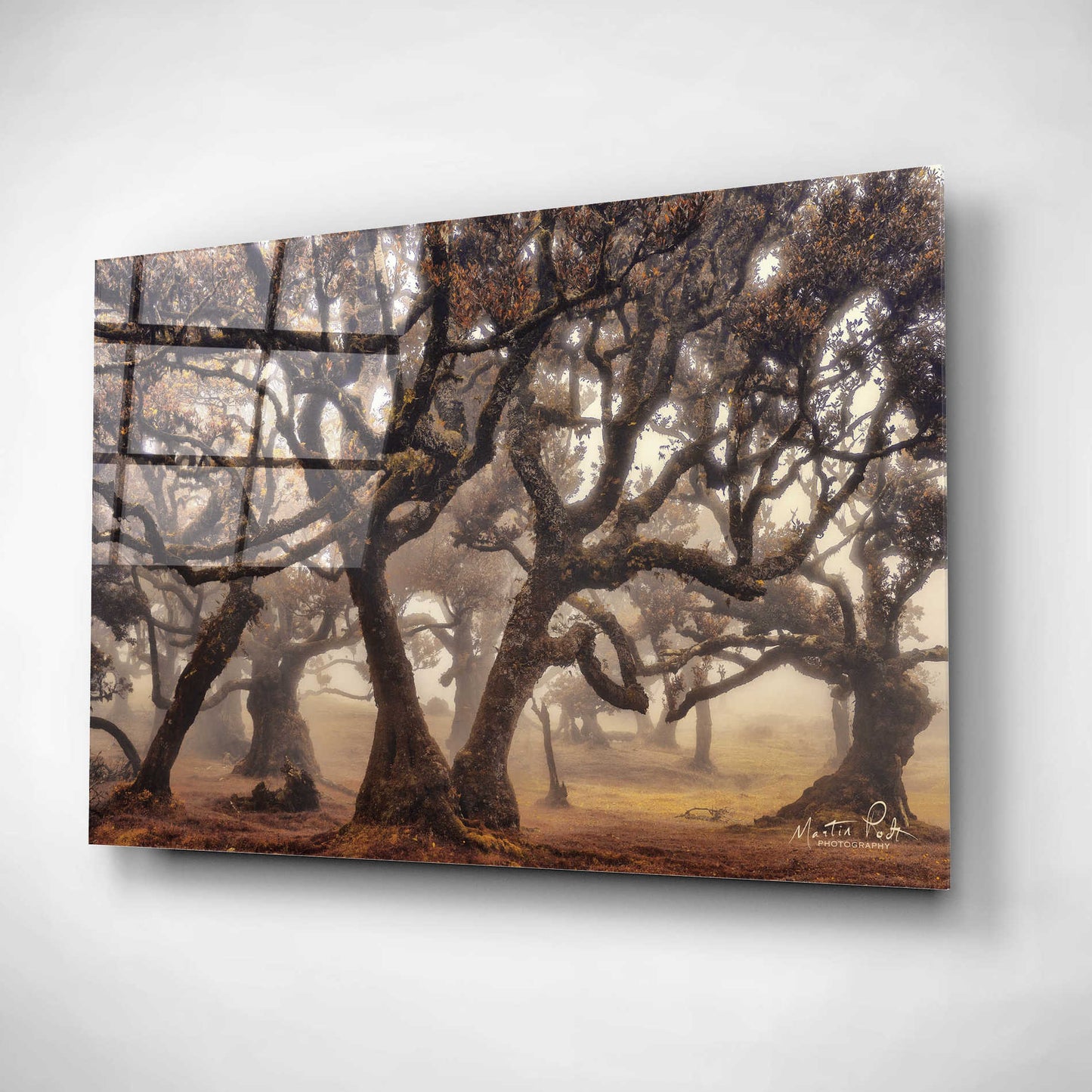 Epic Art 'The Hidden Truth' by Martin Podt, Acrylic Glass Wall Art,24x16