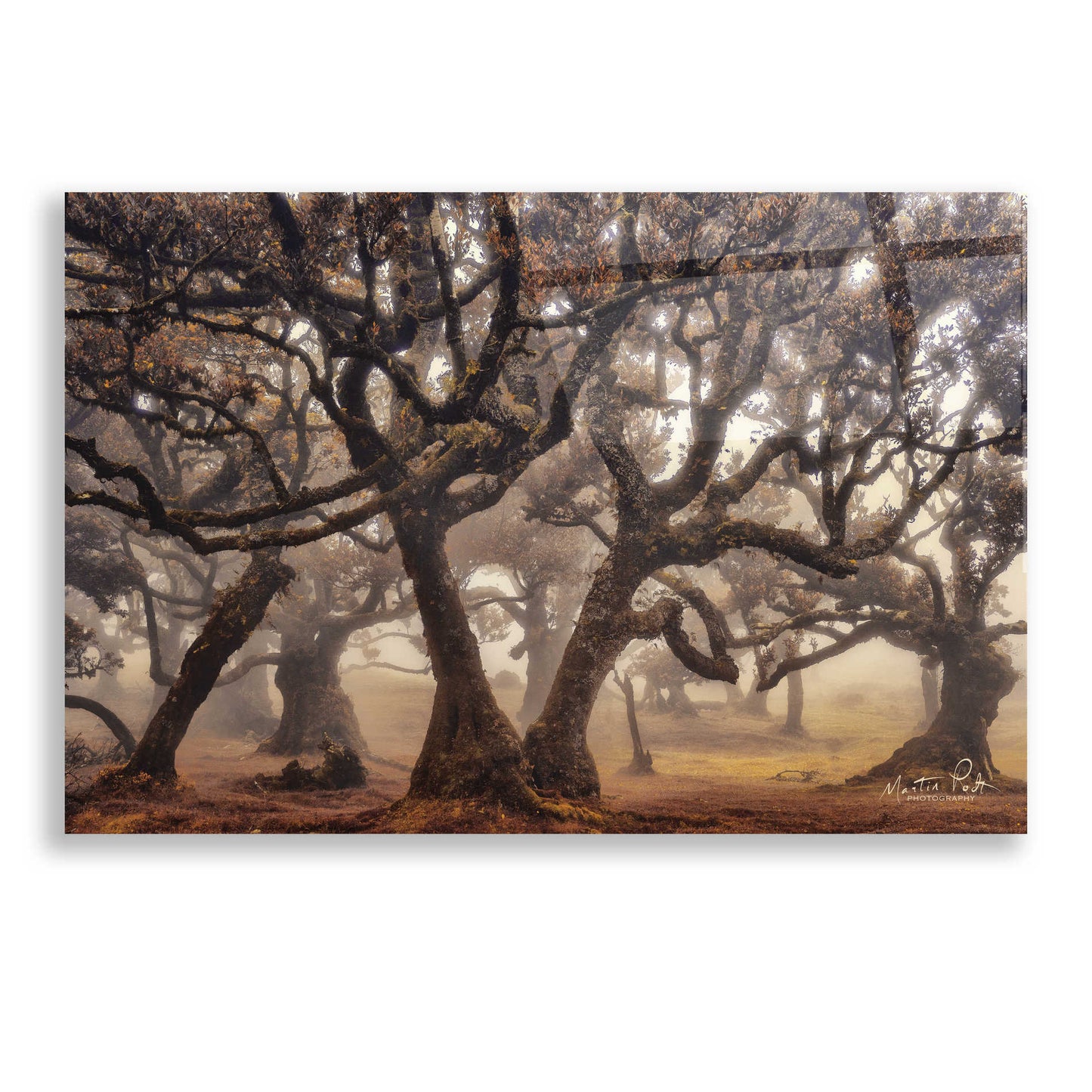 Epic Art 'The Hidden Truth' by Martin Podt, Acrylic Glass Wall Art,24x16