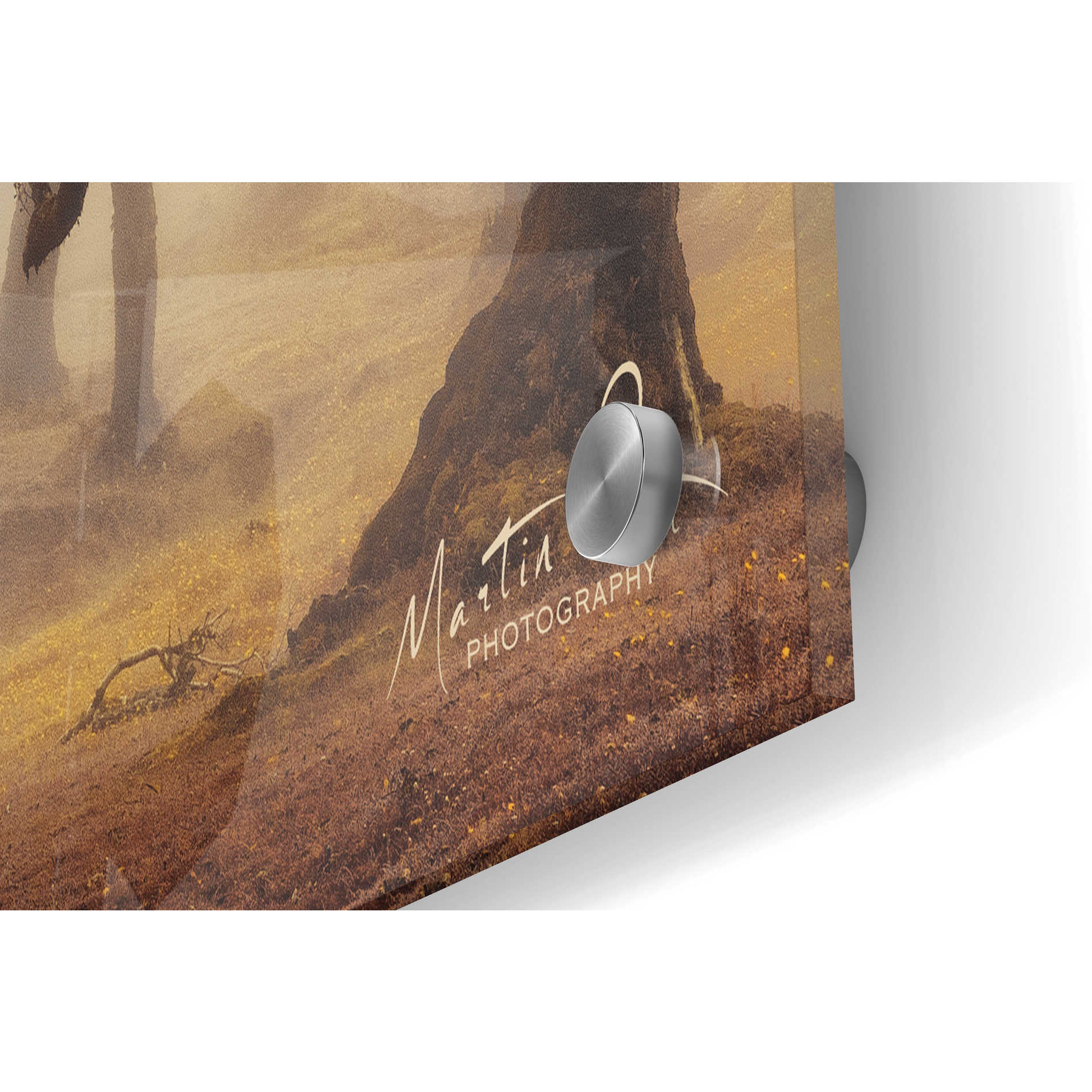 Epic Art 'The Hidden Truth' by Martin Podt, Acrylic Glass Wall Art,36x24