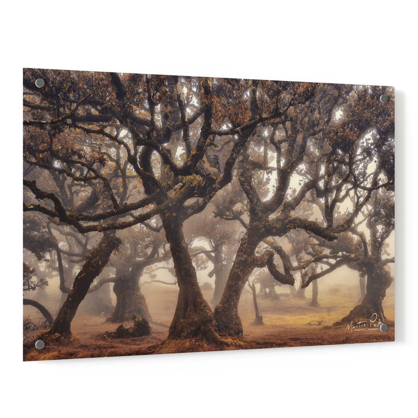 Epic Art 'The Hidden Truth' by Martin Podt, Acrylic Glass Wall Art,36x24