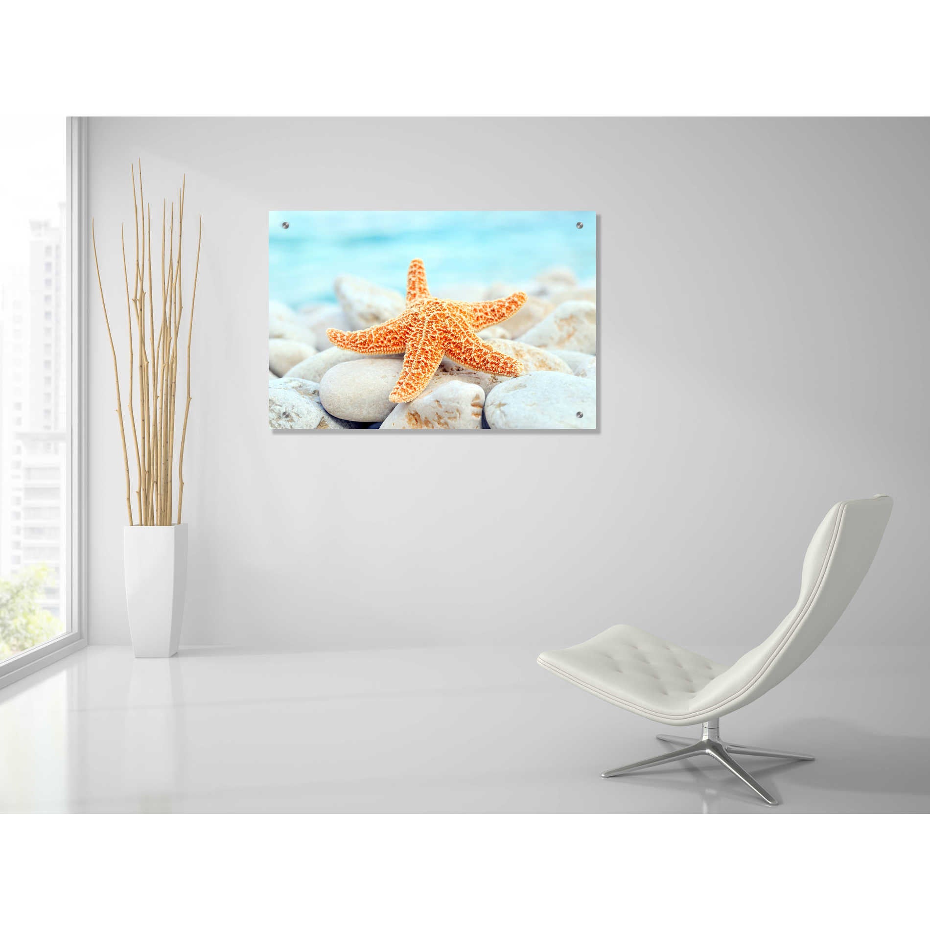 Epic Art 'Sea Star Dreams,' Acrylic Glass Wall Art,36x24