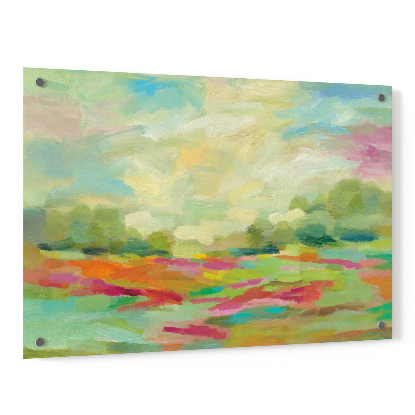 Epic Art 'Sunny Fields' by Silvia Vassileva, Acrylic Glass Wall Art,36x24