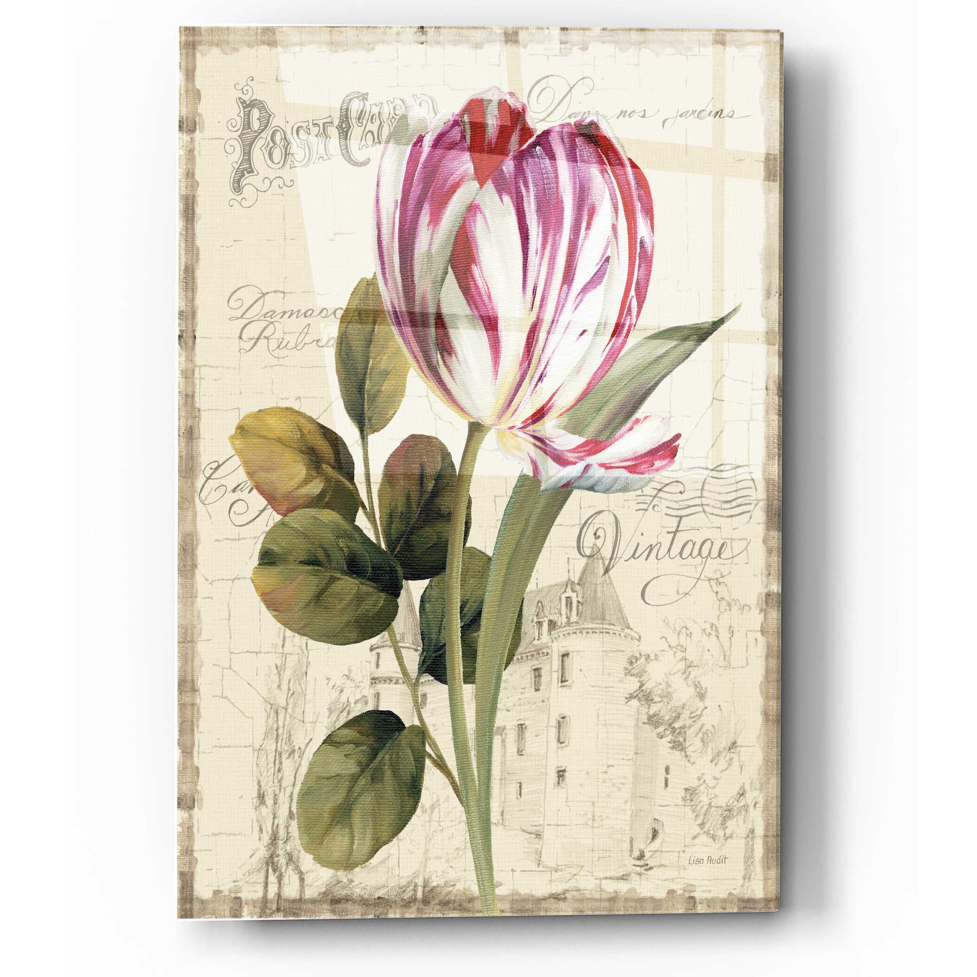 Epic Art 'Garden View II-Tulip' by Lisa Audit, Acrylic Glass Wall Art,12x16