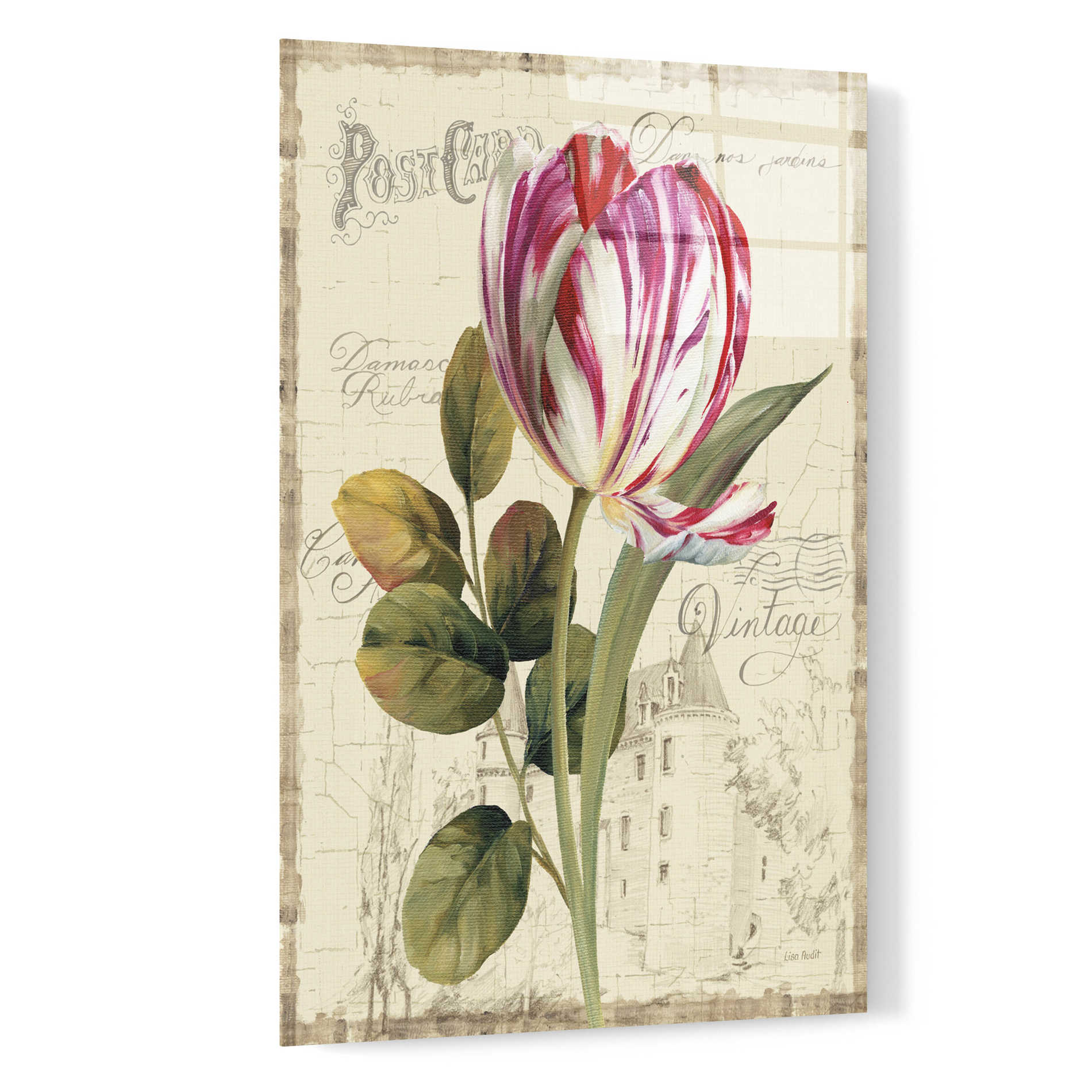 Epic Art 'Garden View II-Tulip' by Lisa Audit, Acrylic Glass Wall Art,16x24