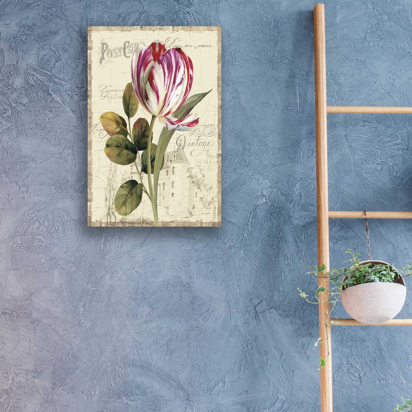 Epic Art 'Garden View II-Tulip' by Lisa Audit, Acrylic Glass Wall Art,16x24