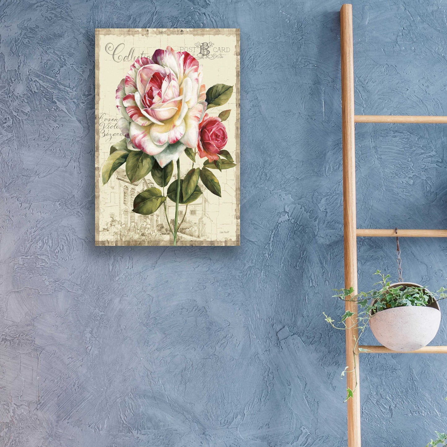 Epic Art 'Garden View III-Rose' by Lisa Audit, Acrylic Glass Wall Art,16x24