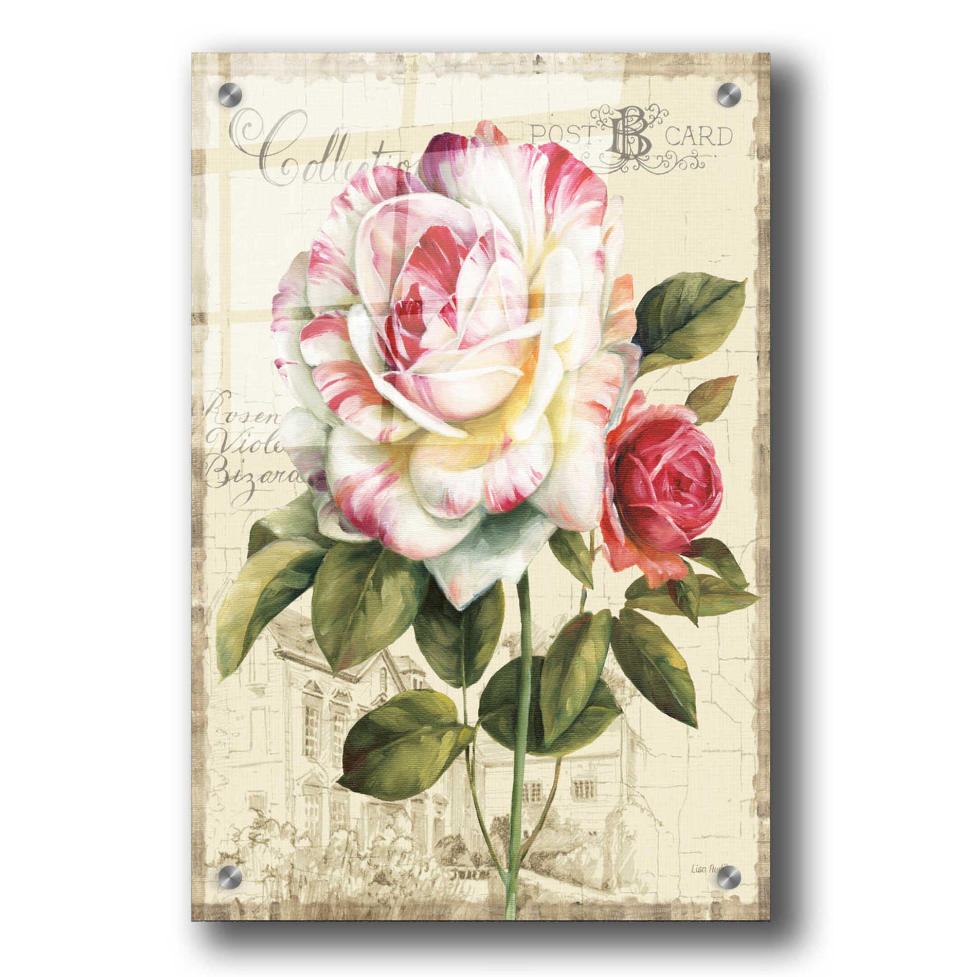 Epic Art 'Garden View III-Rose' by Lisa Audit, Acrylic Glass Wall Art,24x36