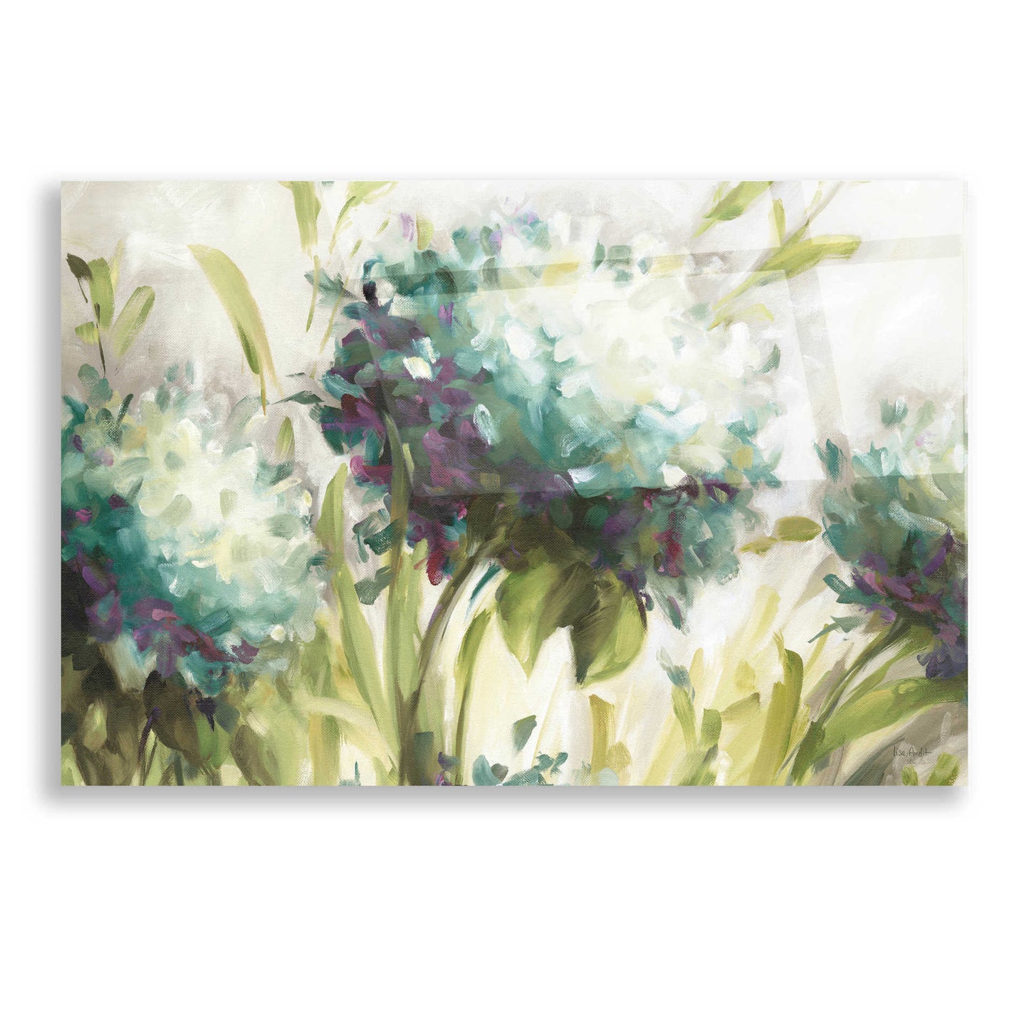 Epic Art 'Hydrangea Field' by Lisa Audit, Acrylic Glass Wall Art,16x12