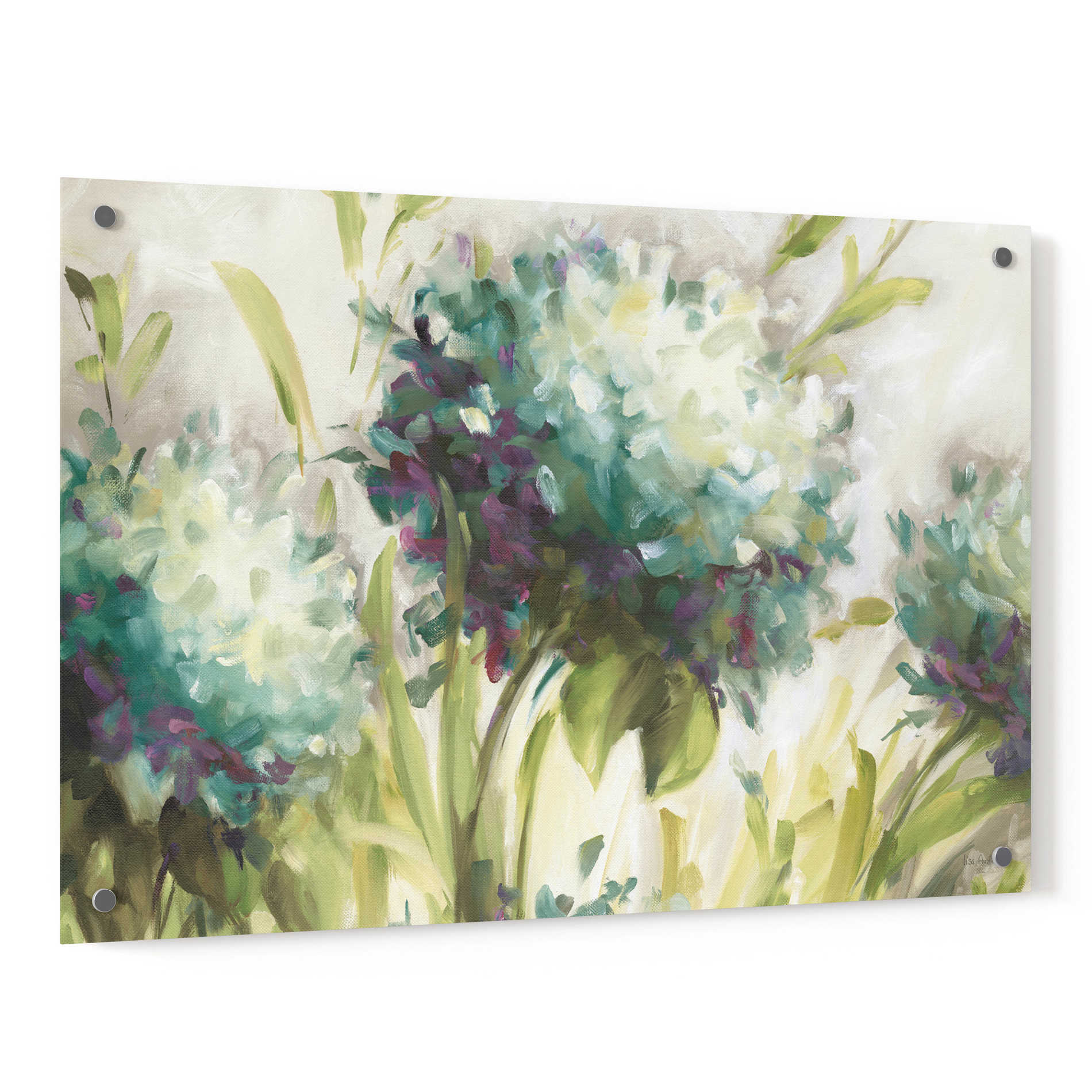 Epic Art 'Hydrangea Field' by Lisa Audit, Acrylic Glass Wall Art,36x24