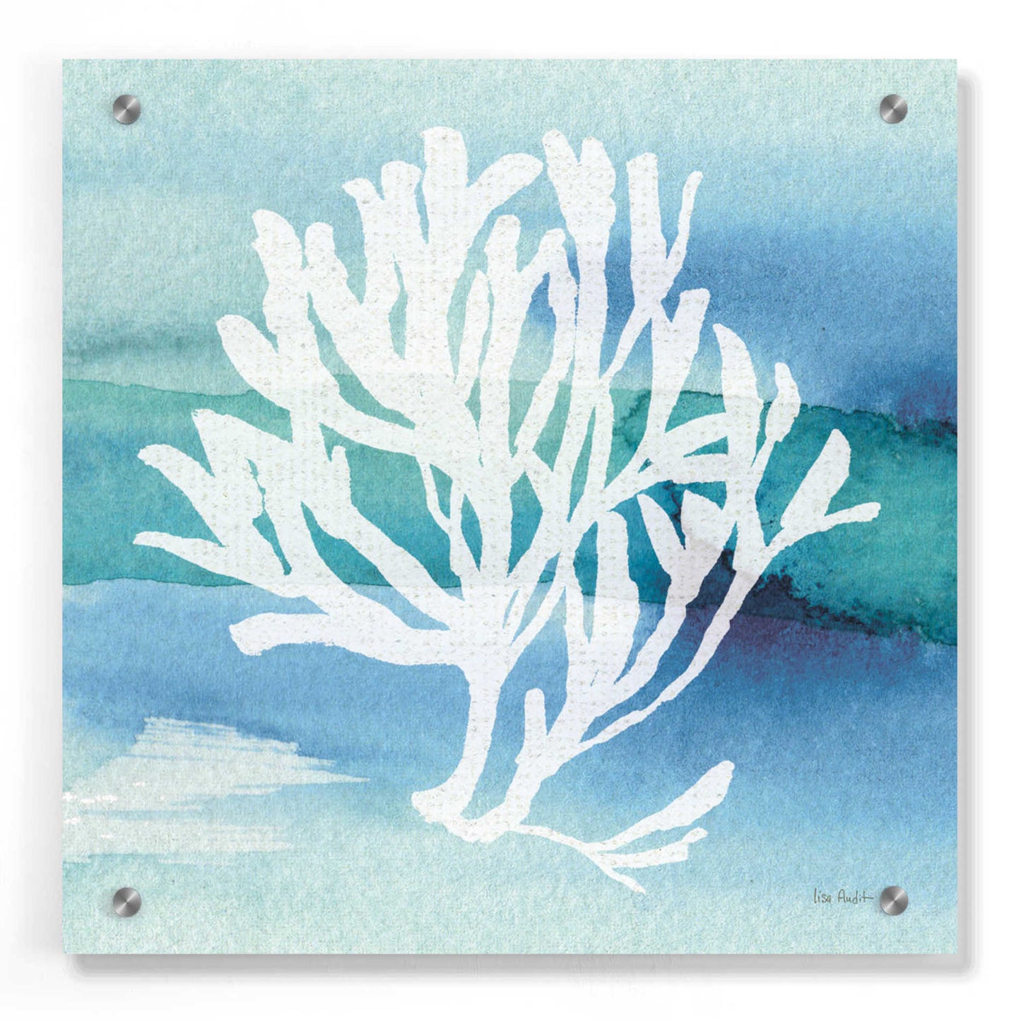 Epic Art 'Sea Life Coral I' by Lisa Audit, Acrylic Glass Wall Art,36x36