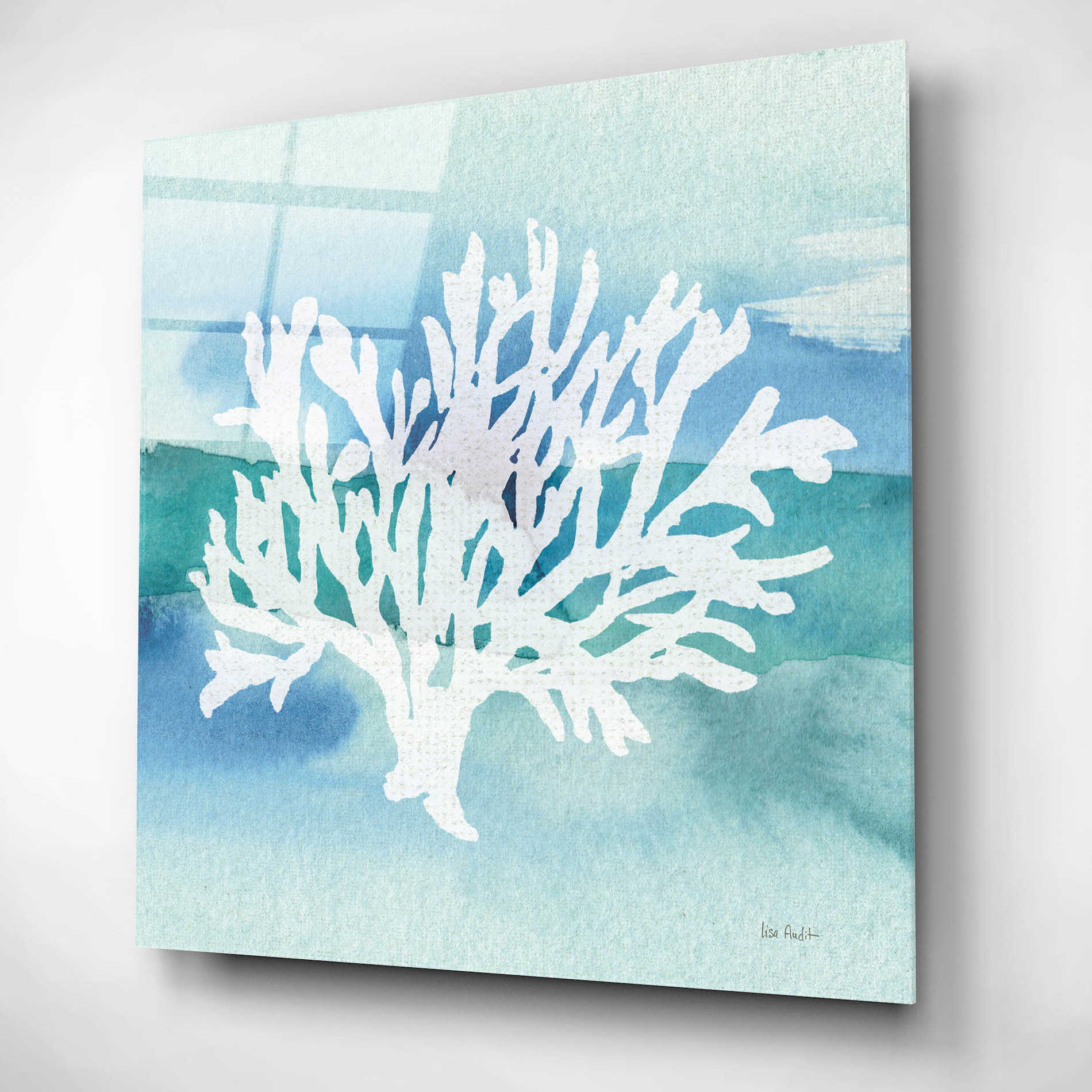 Epic Art 'Sea Life Coral II' by Lisa Audit, Acrylic Glass Wall Art,12x12