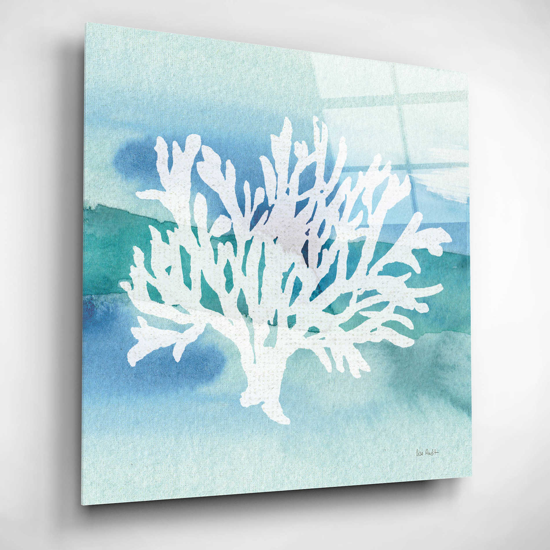 Epic Art 'Sea Life Coral II' by Lisa Audit, Acrylic Glass Wall Art,12x12