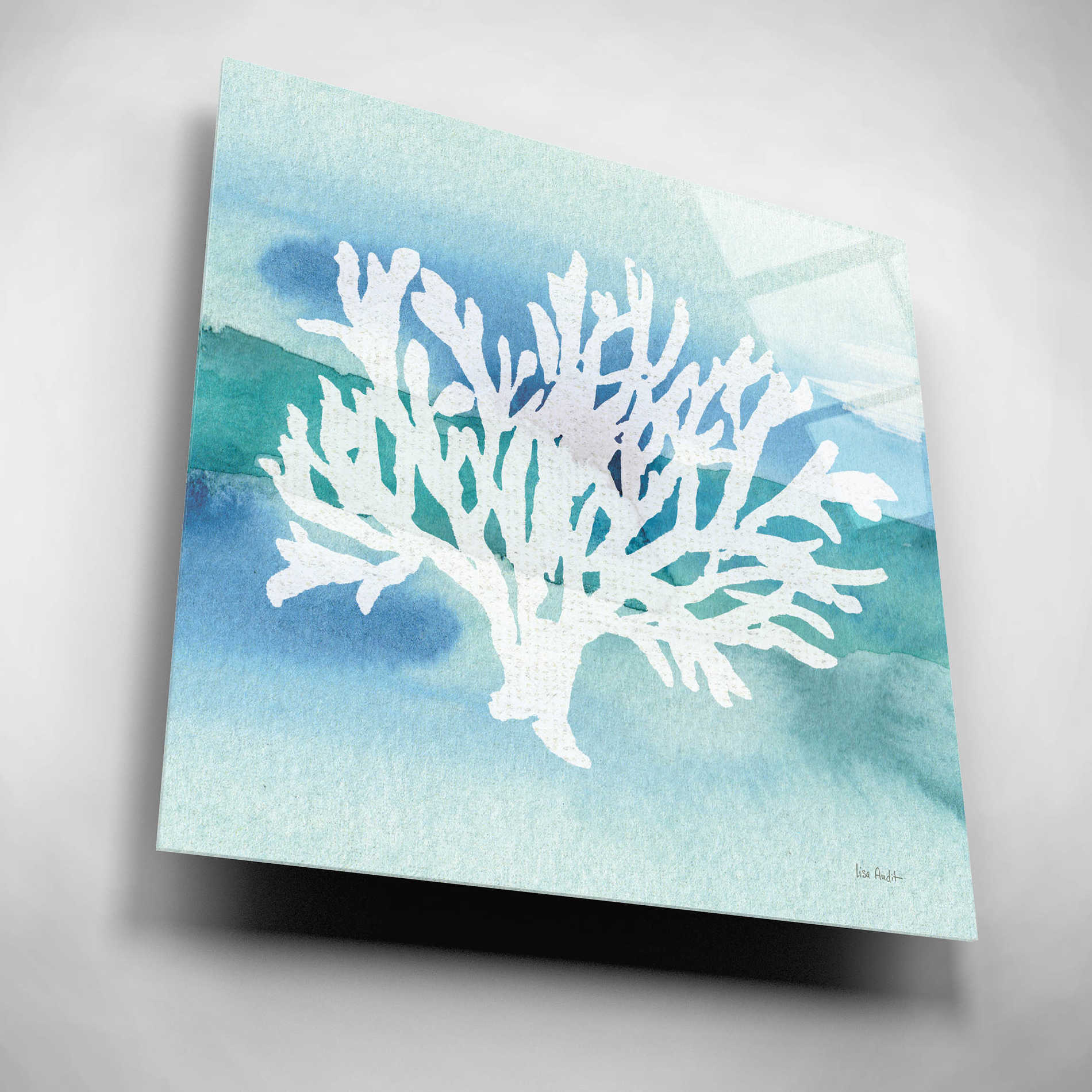 Epic Art 'Sea Life Coral II' by Lisa Audit, Acrylic Glass Wall Art,12x12