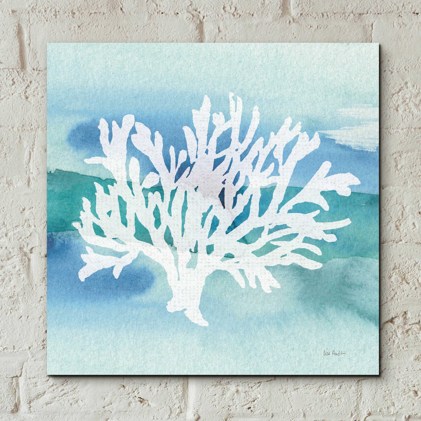 Epic Art 'Sea Life Coral II' by Lisa Audit, Acrylic Glass Wall Art,12x12