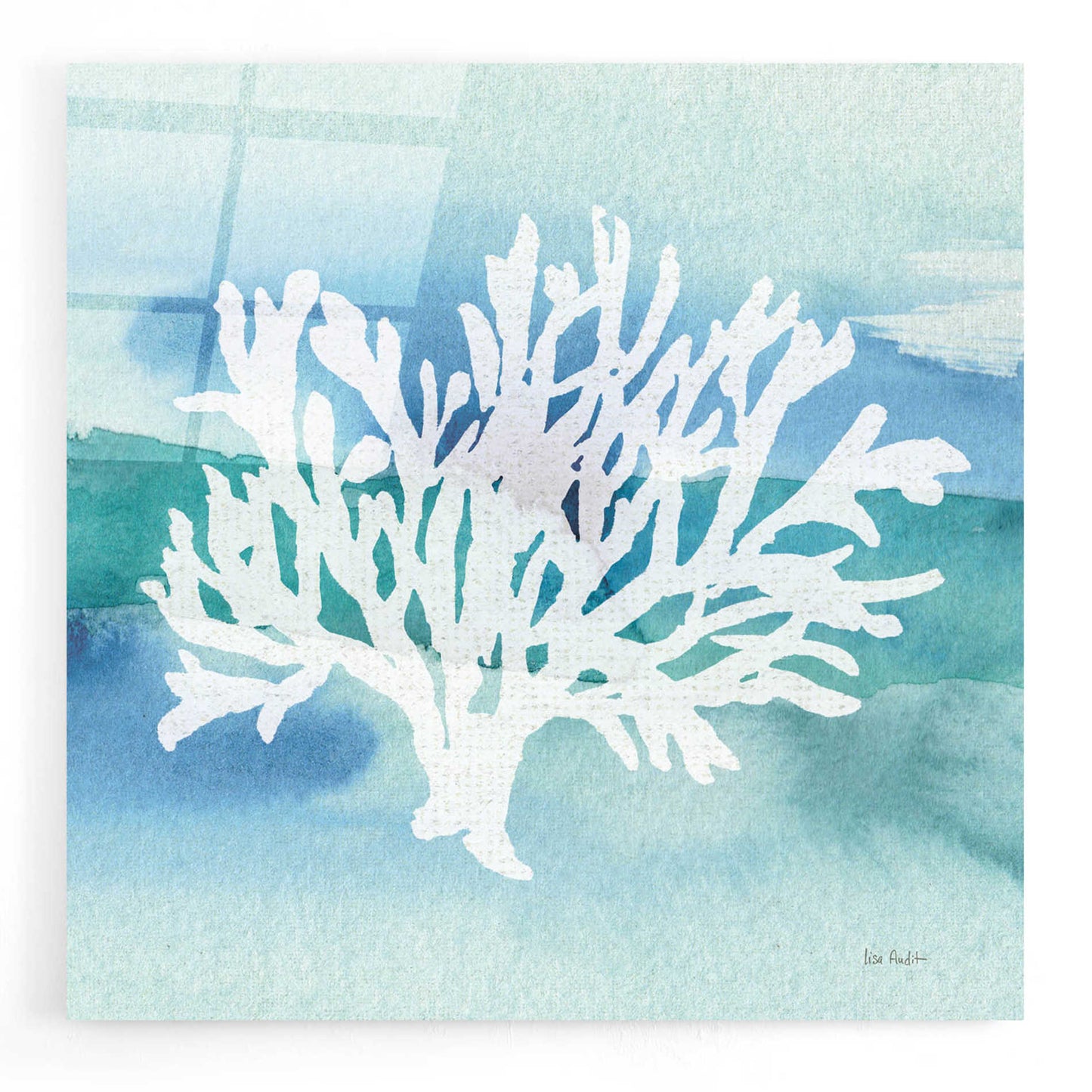 Epic Art 'Sea Life Coral II' by Lisa Audit, Acrylic Glass Wall Art,12x12