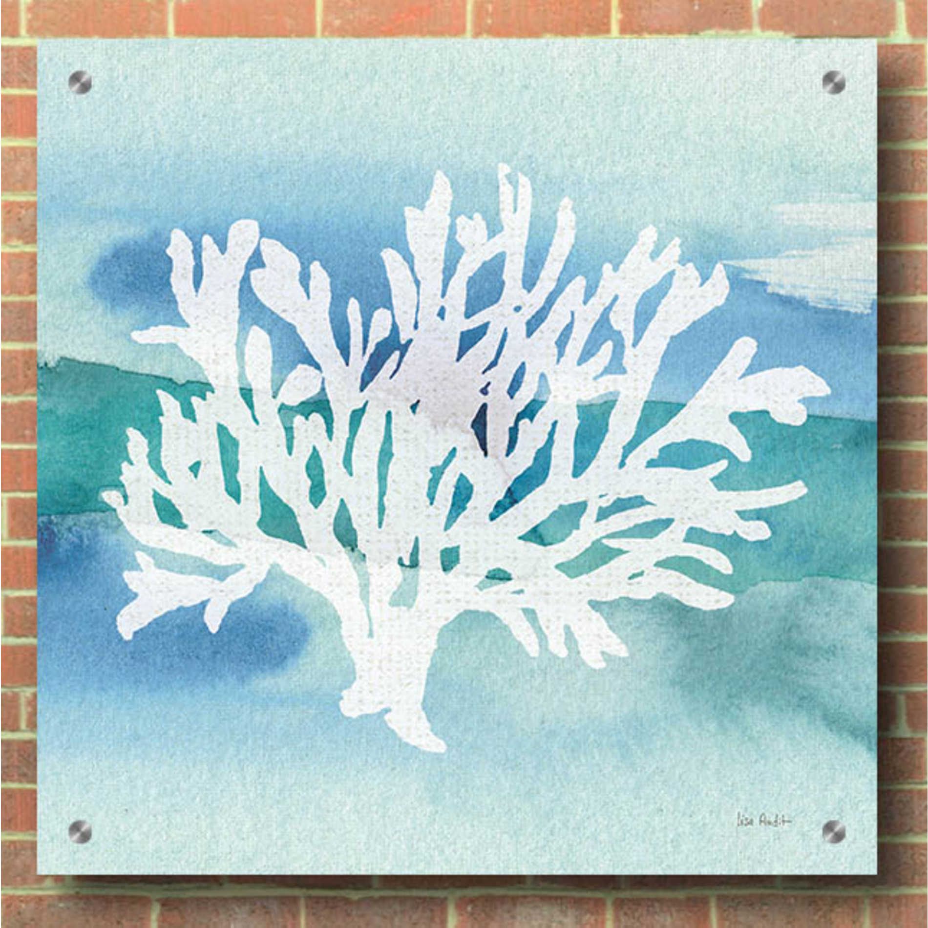 Epic Art 'Sea Life Coral II' by Lisa Audit, Acrylic Glass Wall Art,36x36