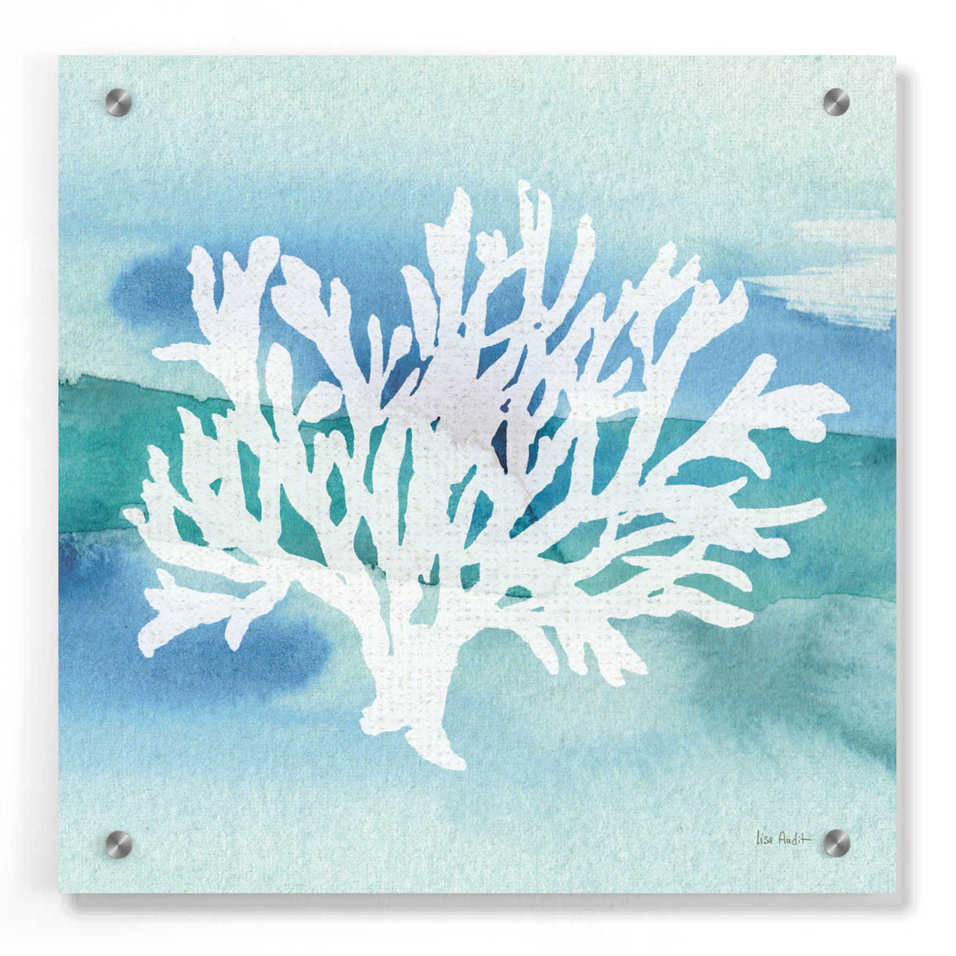 Epic Art 'Sea Life Coral II' by Lisa Audit, Acrylic Glass Wall Art,36x36