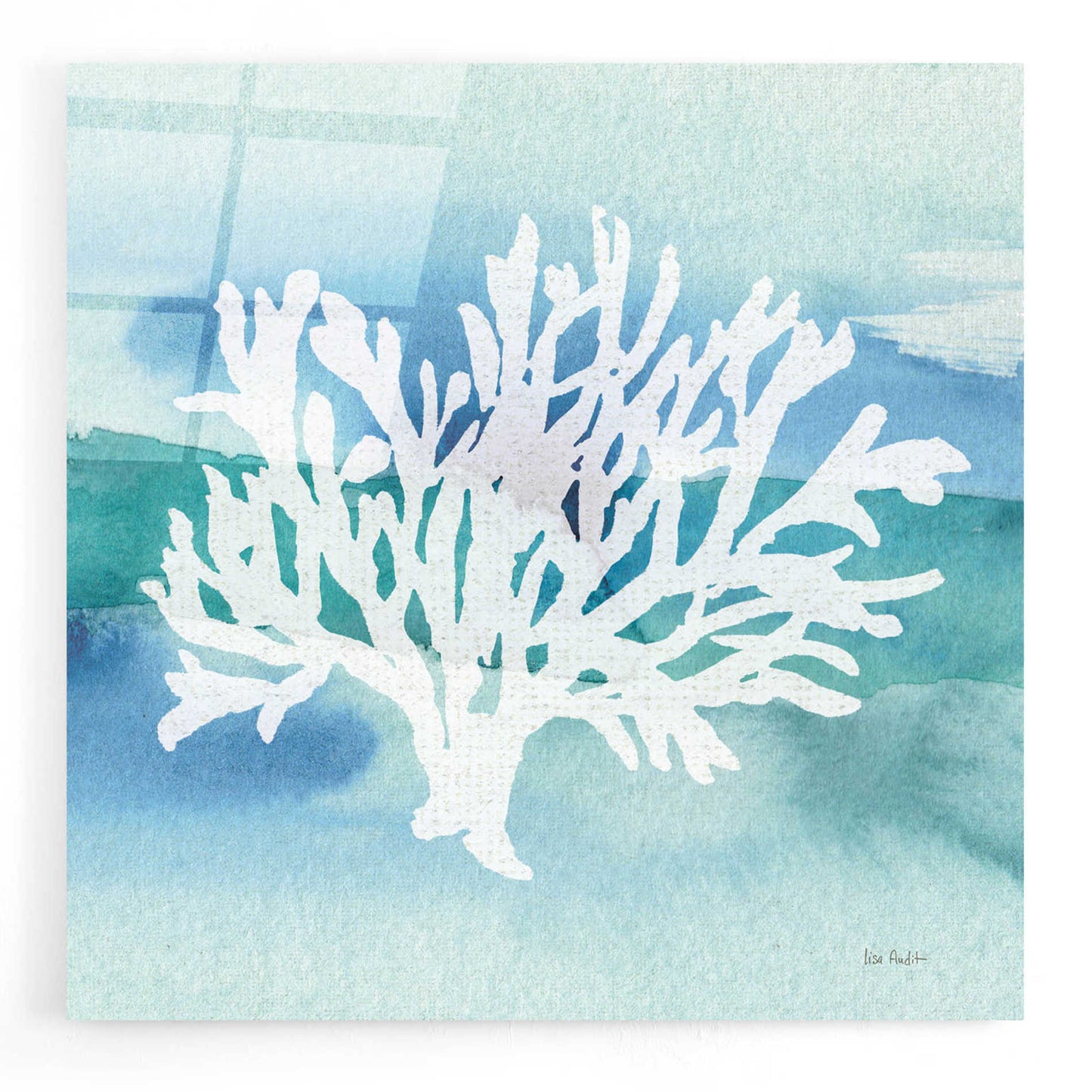 Epic Art 'Sea Life Coral II' by Lisa Audit, Acrylic Glass Wall Art