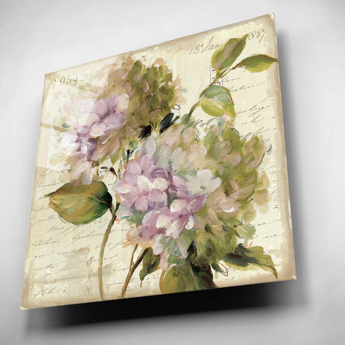 Epic Art 'Harmonious V Marche de Fleurs Script' by Lisa Audit, Acrylic Glass Wall Art,12x12