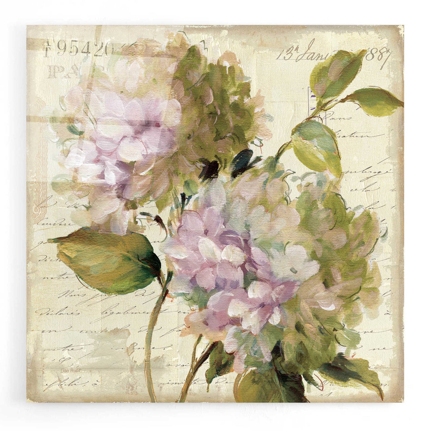 Epic Art 'Harmonious V Marche de Fleurs Script' by Lisa Audit, Acrylic Glass Wall Art,12x12