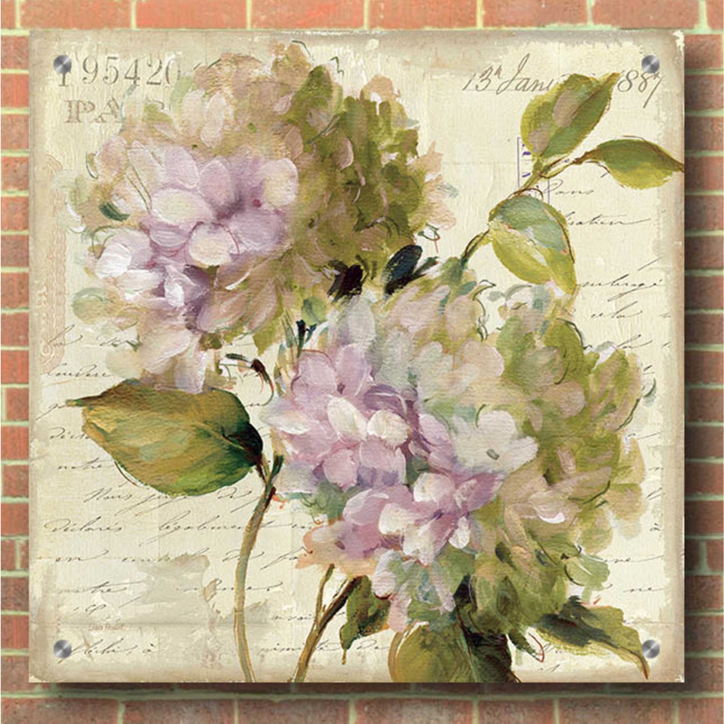 Epic Art 'Harmonious V Marche de Fleurs Script' by Lisa Audit, Acrylic Glass Wall Art,36x36