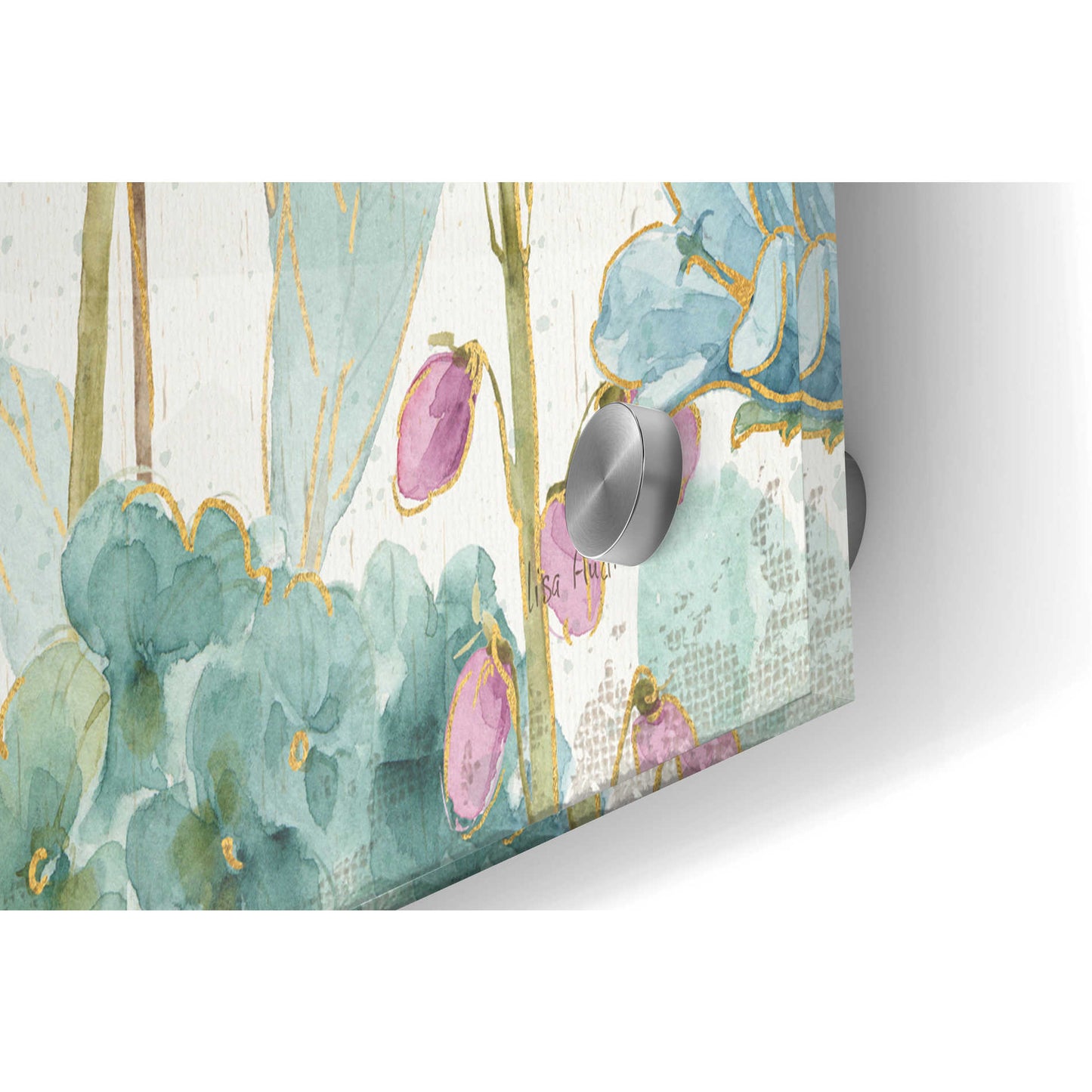 Epic Art 'Rainbow Seeds Flowers I on Wood Crop,' by Lisa Audit, Acrylic Glass Wall Art,36x24