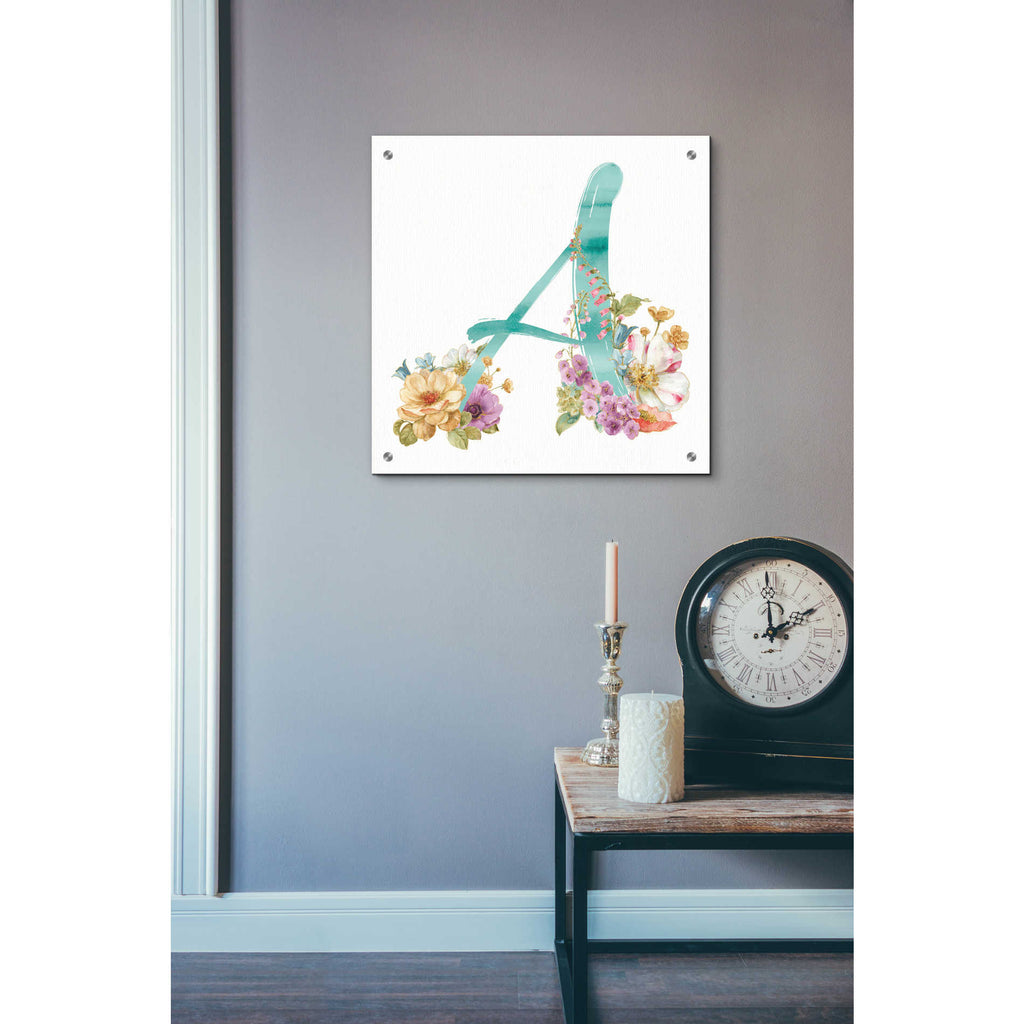 Epic Art 'Rainbow Seeds Monogram A,' by Lisa Audit, Acrylic Glass Wall Art,24x24