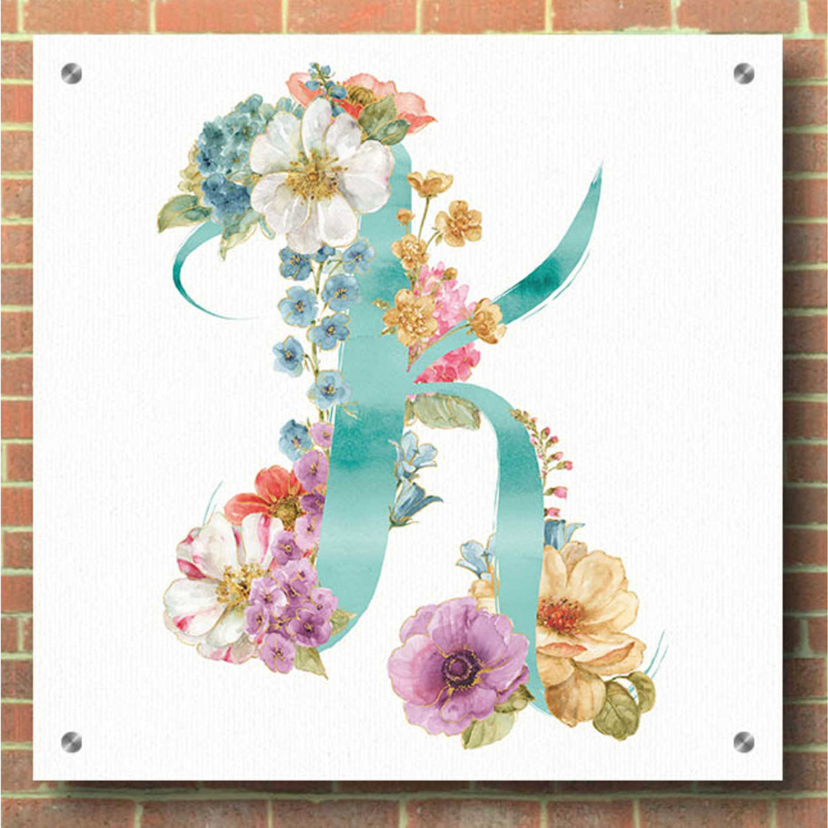 Epic Art 'Rainbow Seeds Monogram K,' by Lisa Audit, Acrylic Glass Wall Art,36x36