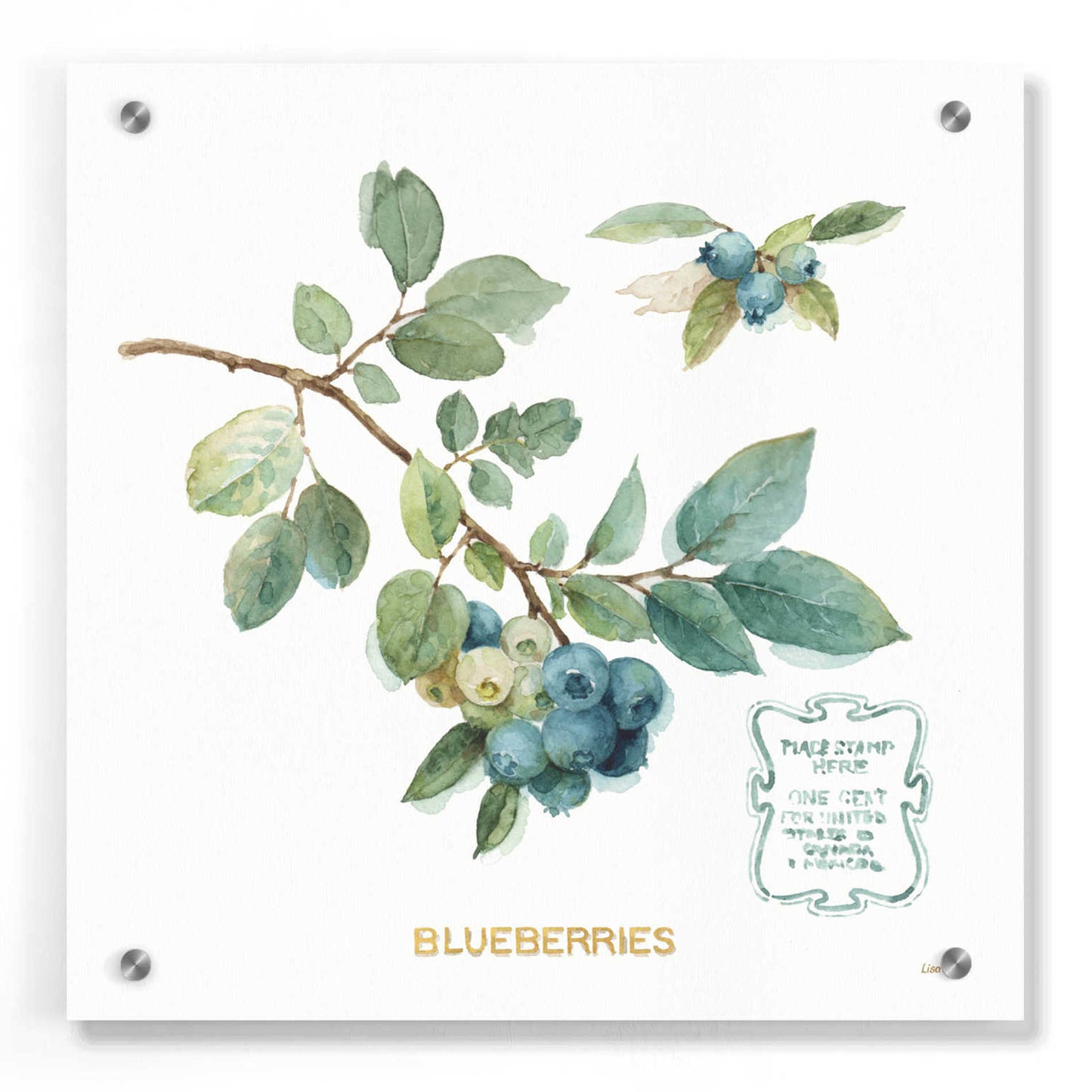 Epic Art 'My Greenhouse Fruit II,' by Lisa Audit, Acrylic Glass Wall Art,36x36