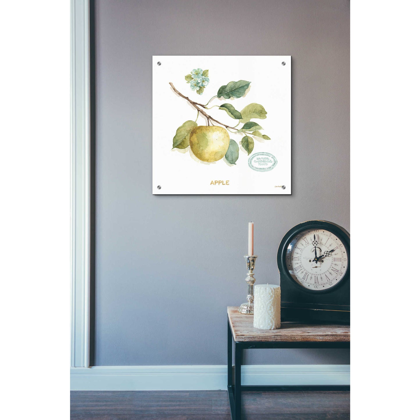 Epic Art 'My Greenhouse Fruit IV,' by Lisa Audit, Acrylic Glass Wall Art,24x24
