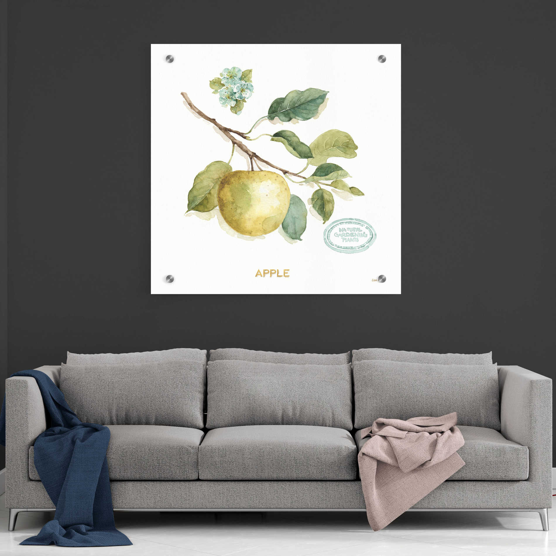 Epic Art 'My Greenhouse Fruit IV,' by Lisa Audit, Acrylic Glass Wall Art,36x36