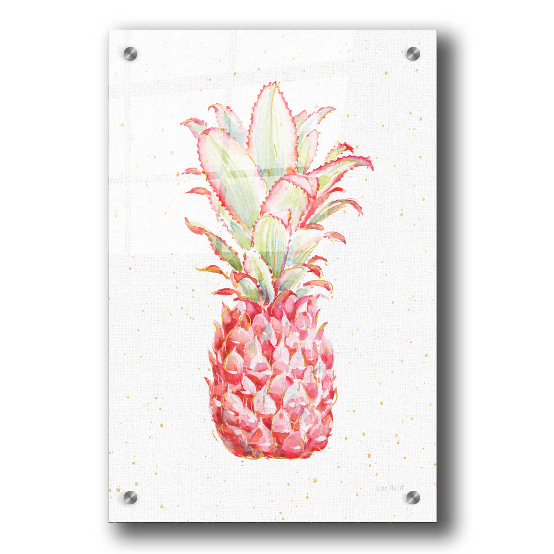 Epic Art 'Gracefully Pink XI' by Lisa Audit, Acrylic Glass Wall Art,24x36