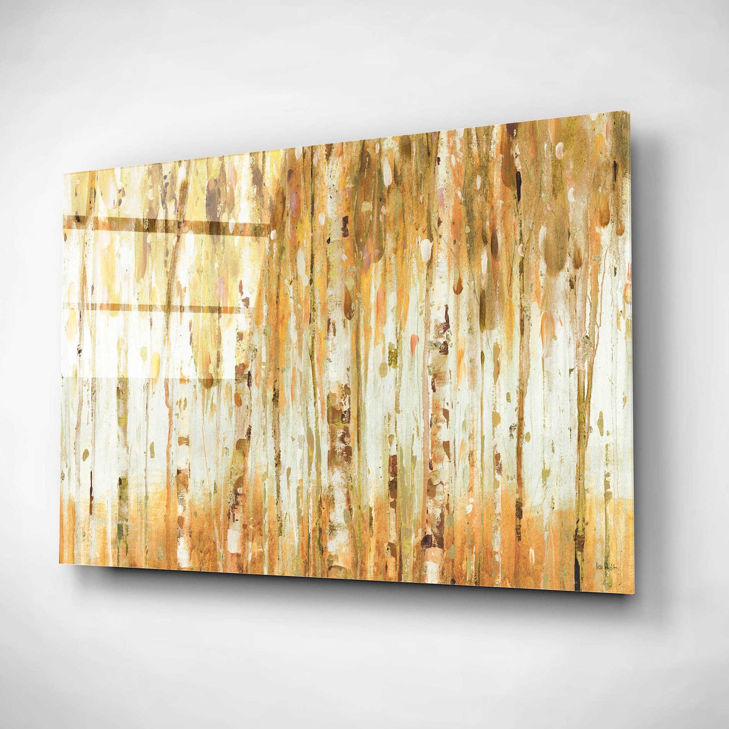 Epic Art 'The Forest I Fall Crop' by Lisa Audit, Acrylic Glass Wall Art,24x16