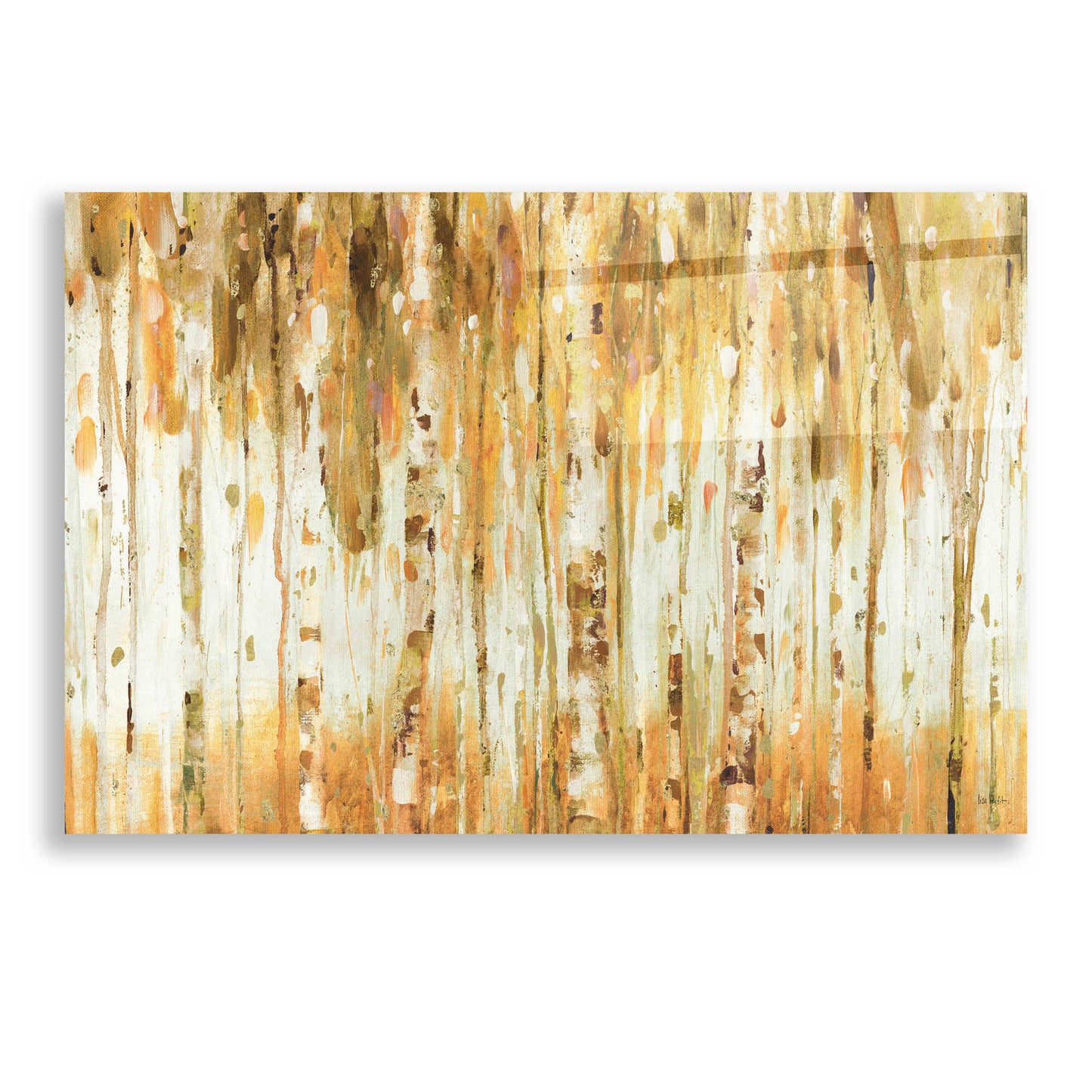 Epic Art 'The Forest I Fall Crop' by Lisa Audit, Acrylic Glass Wall Art,24x16