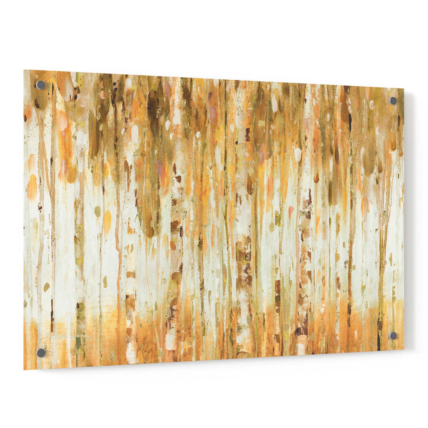 Epic Art 'The Forest I Fall Crop' by Lisa Audit, Acrylic Glass Wall Art,36x24