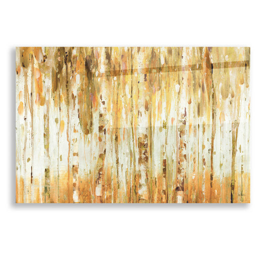 Epic Art 'The Forest I Fall Crop' by Lisa Audit, Acrylic Glass Wall Art
