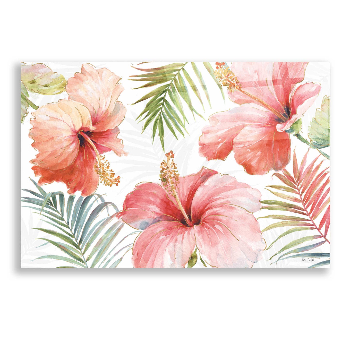 Epic Art 'Tropical Blush I' by Lisa Audit, Acrylic Glass Wall Art,24x16