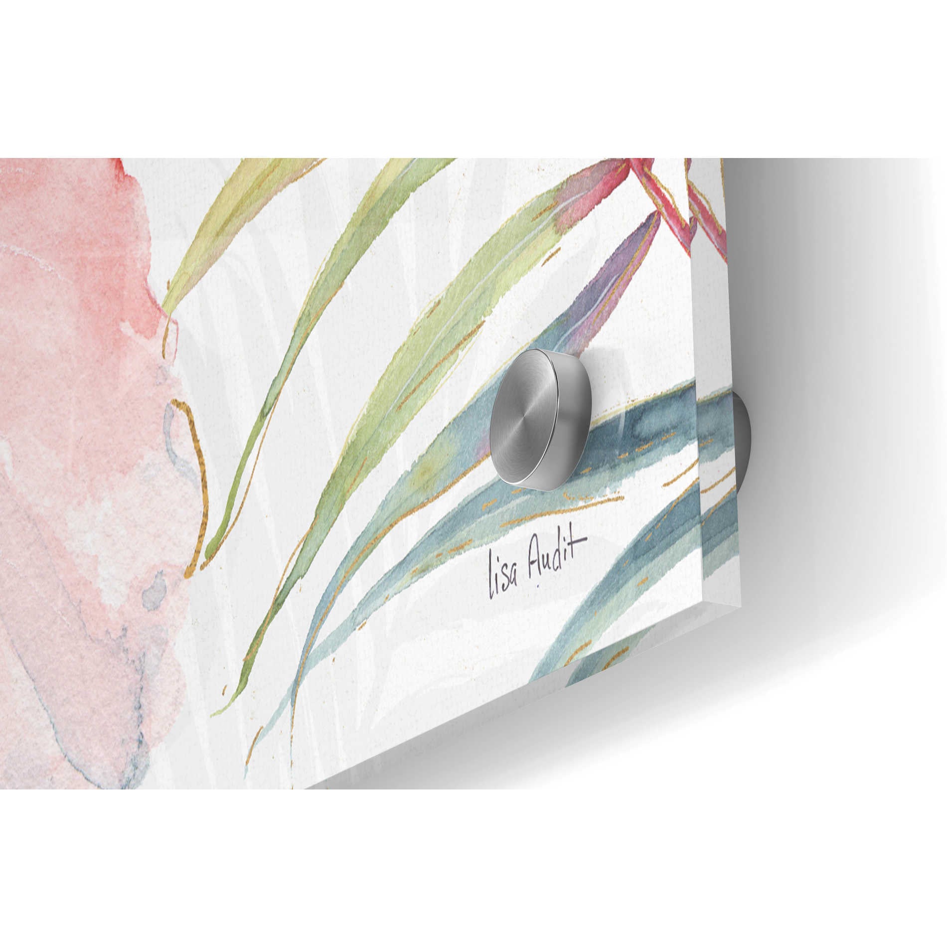 Epic Art 'Tropical Blush I' by Lisa Audit, Acrylic Glass Wall Art,36x24