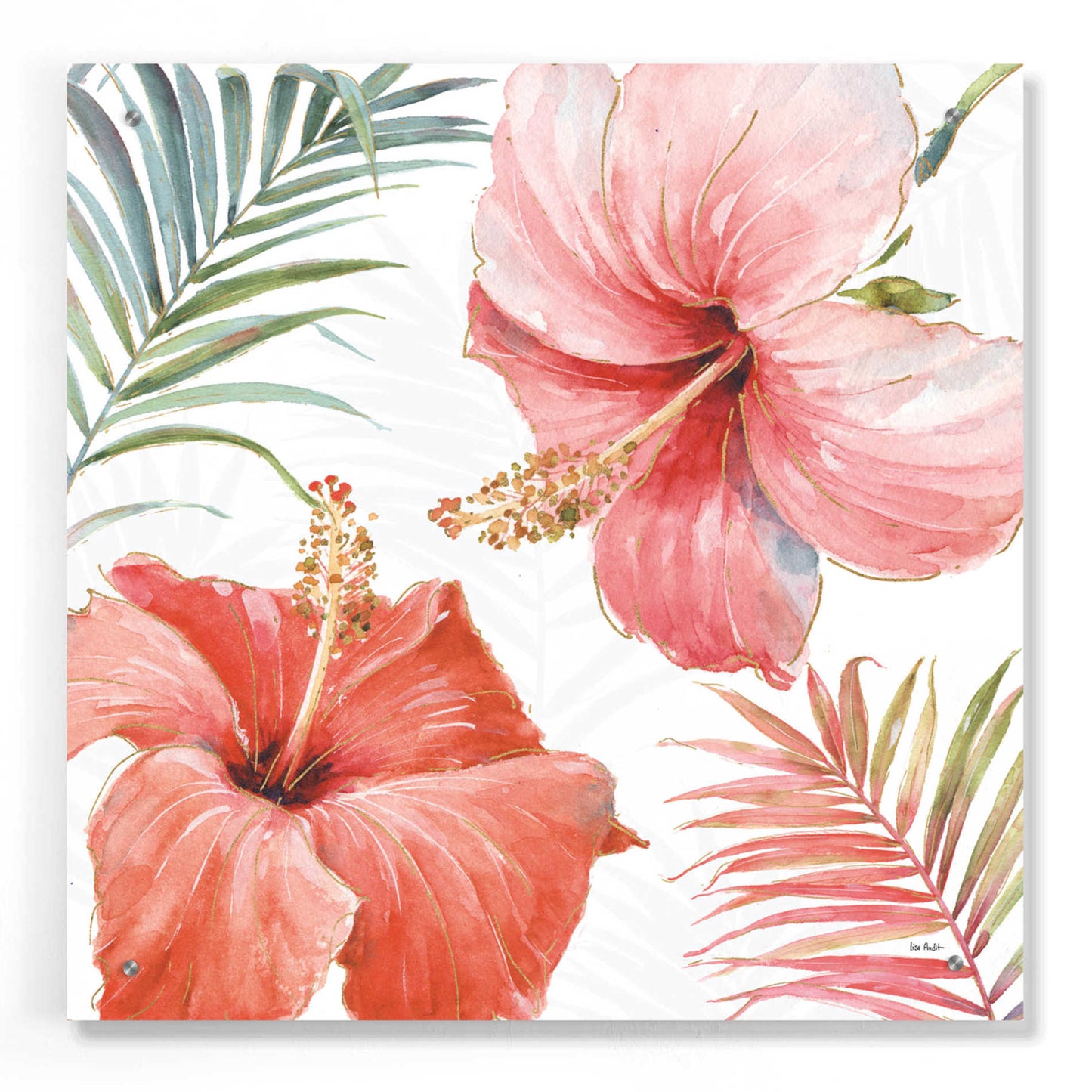 Epic Art 'Tropical Blush III' by Lisa Audit, Acrylic Glass Wall Art,24x24