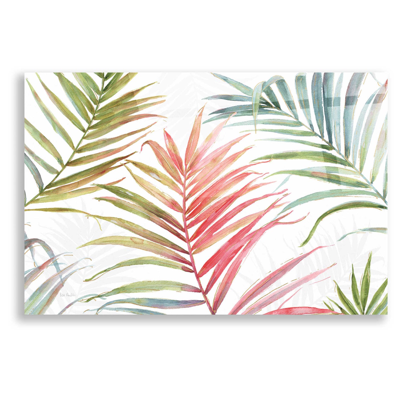 Epic Art 'Tropical Blush IV' by Lisa Audit, Acrylic Glass Wall Art,16x12